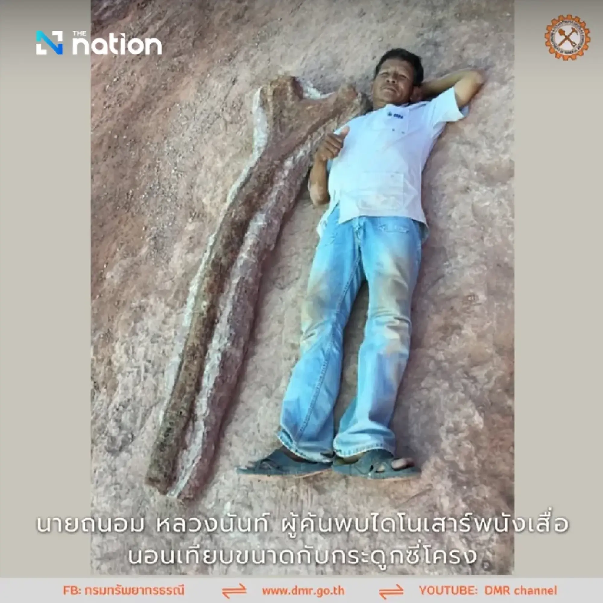 New giant dinosaur species found in Thailand’s Chaiyaphum