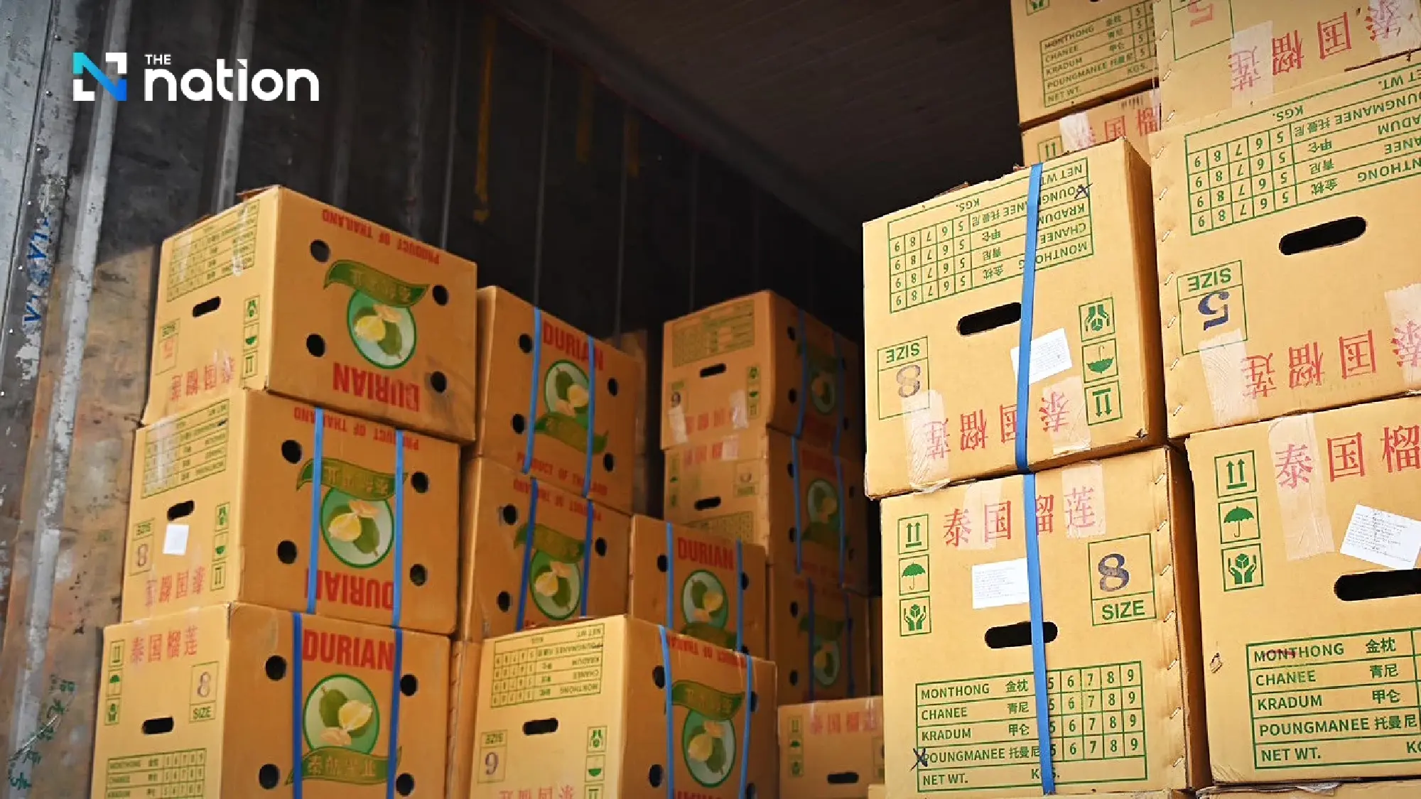 Thailand’s transit trade rises as durian exports to China surge