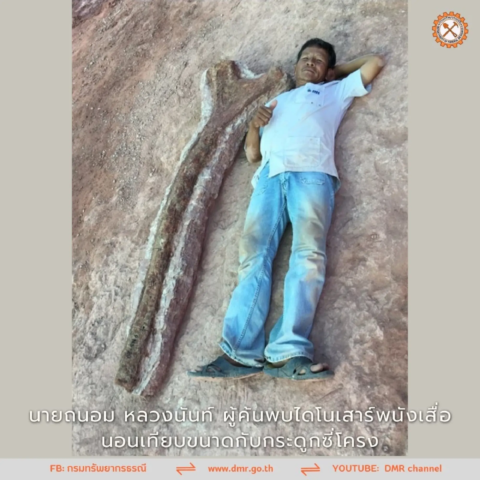 Uncle Thanom lies beside one of the Nagatitan fossils.