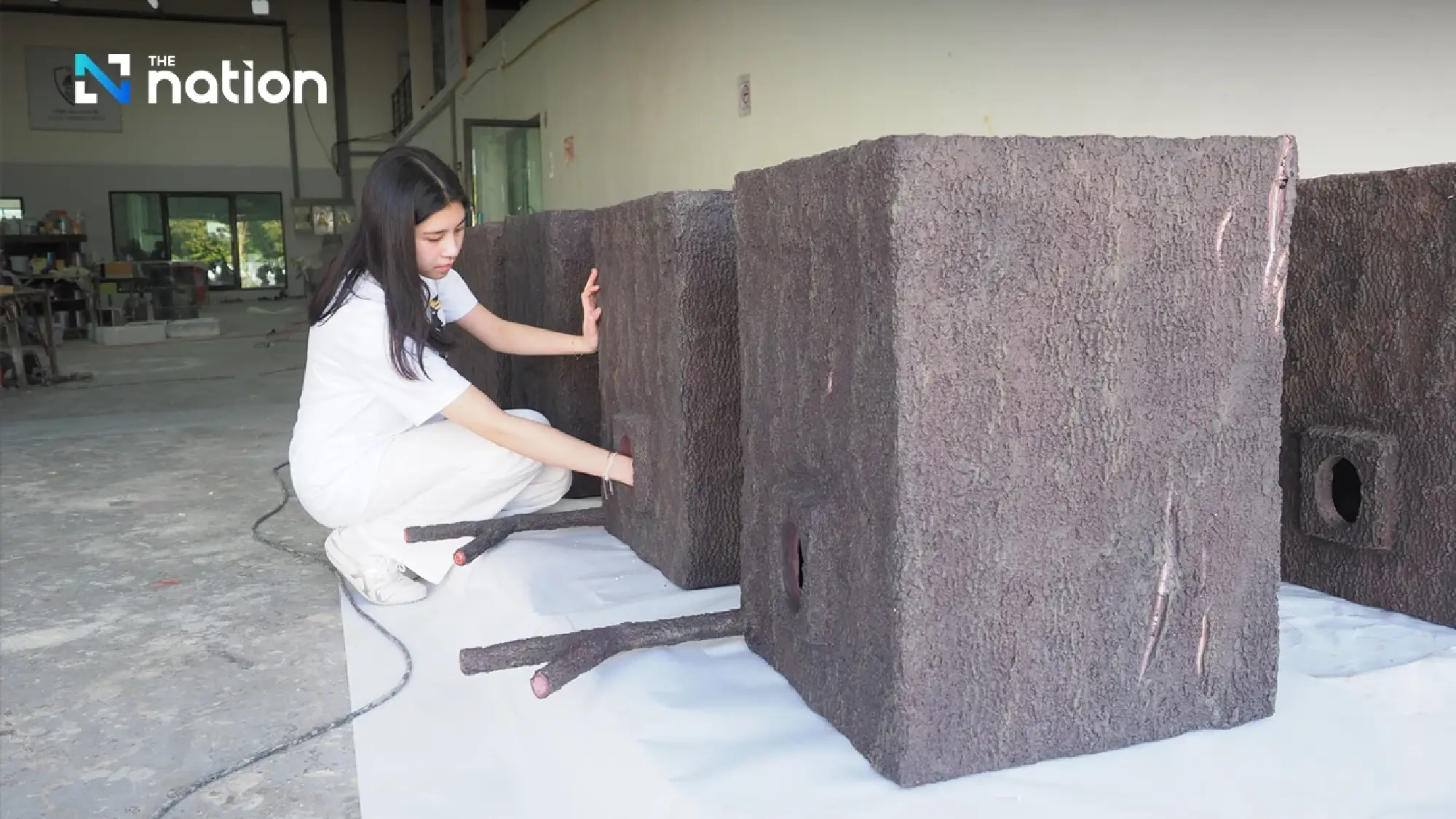 Thai student receives global awards for turning plastic waste into hornbill nests
