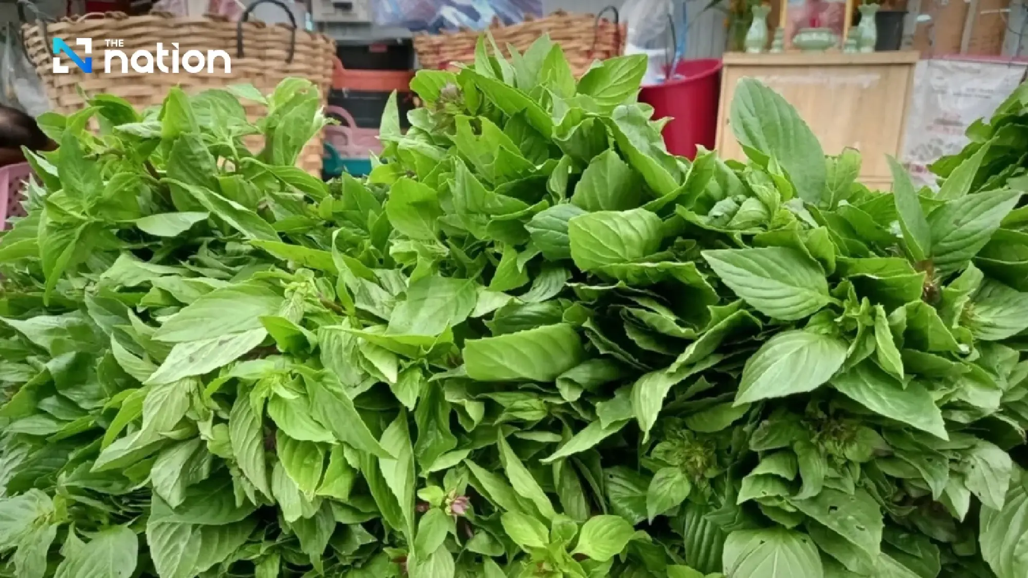Raw vegetable parasite risk sparks health warning as celery, mint top contamination list