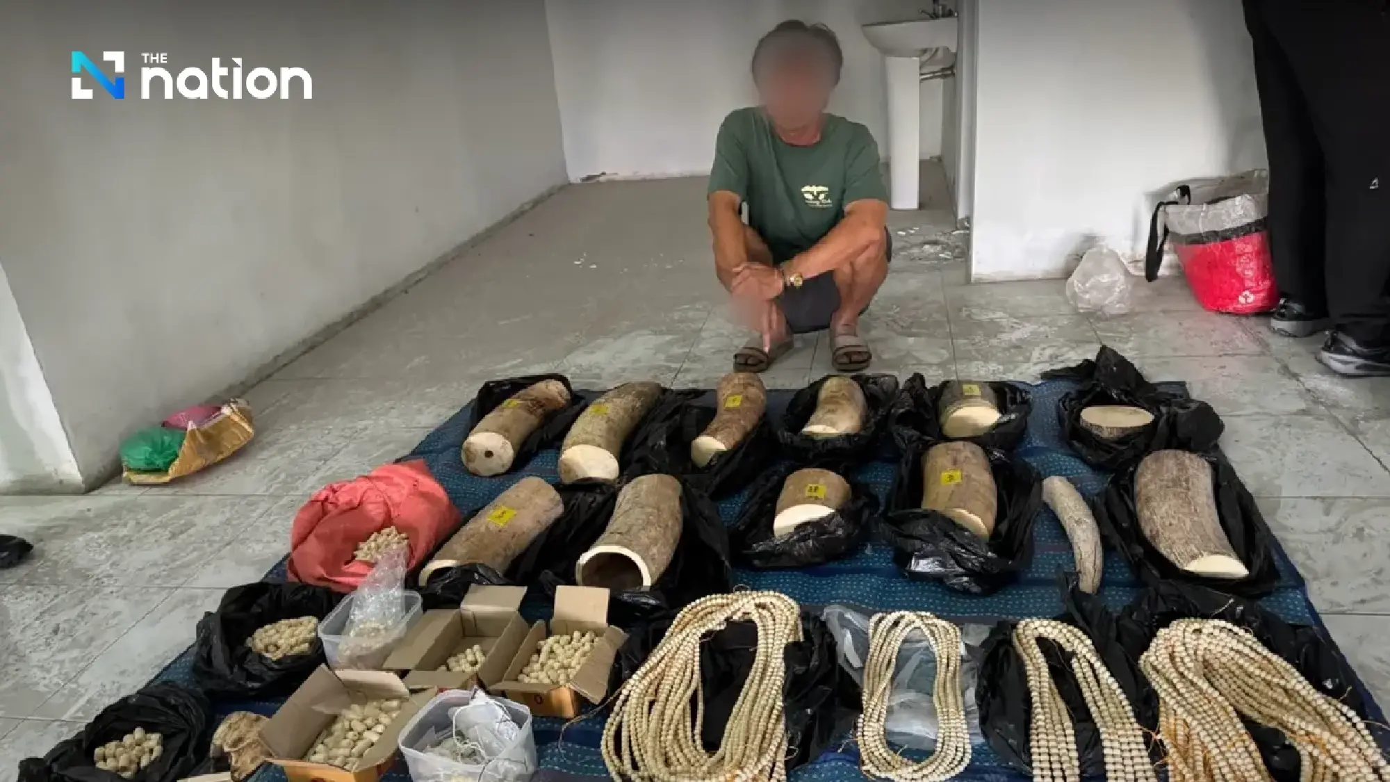 Ivory network busted — CIB seizes B10m haul in seven-province raids