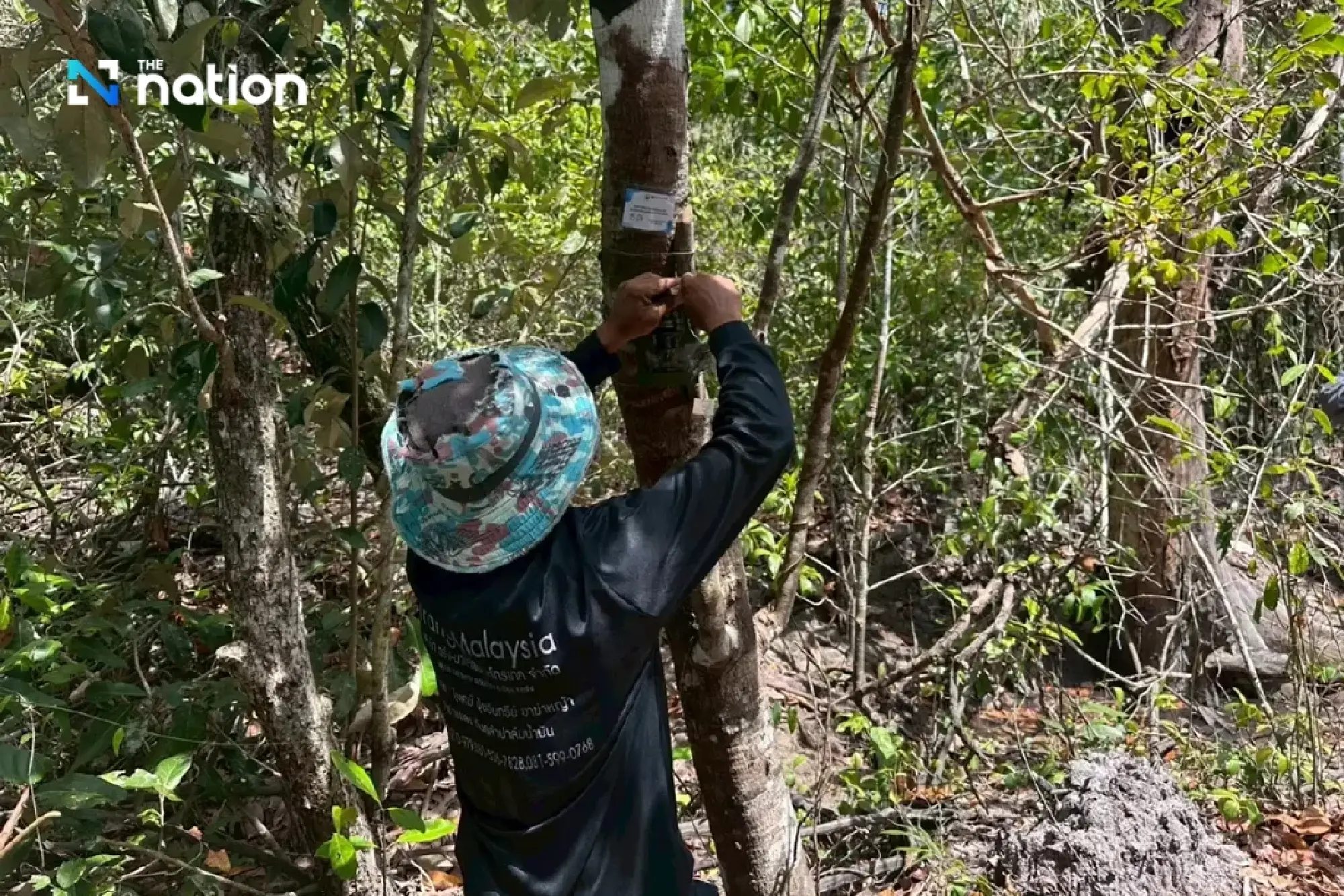 World Biodiversity Day: Doi Tung model turns forests into sustainable economic capital