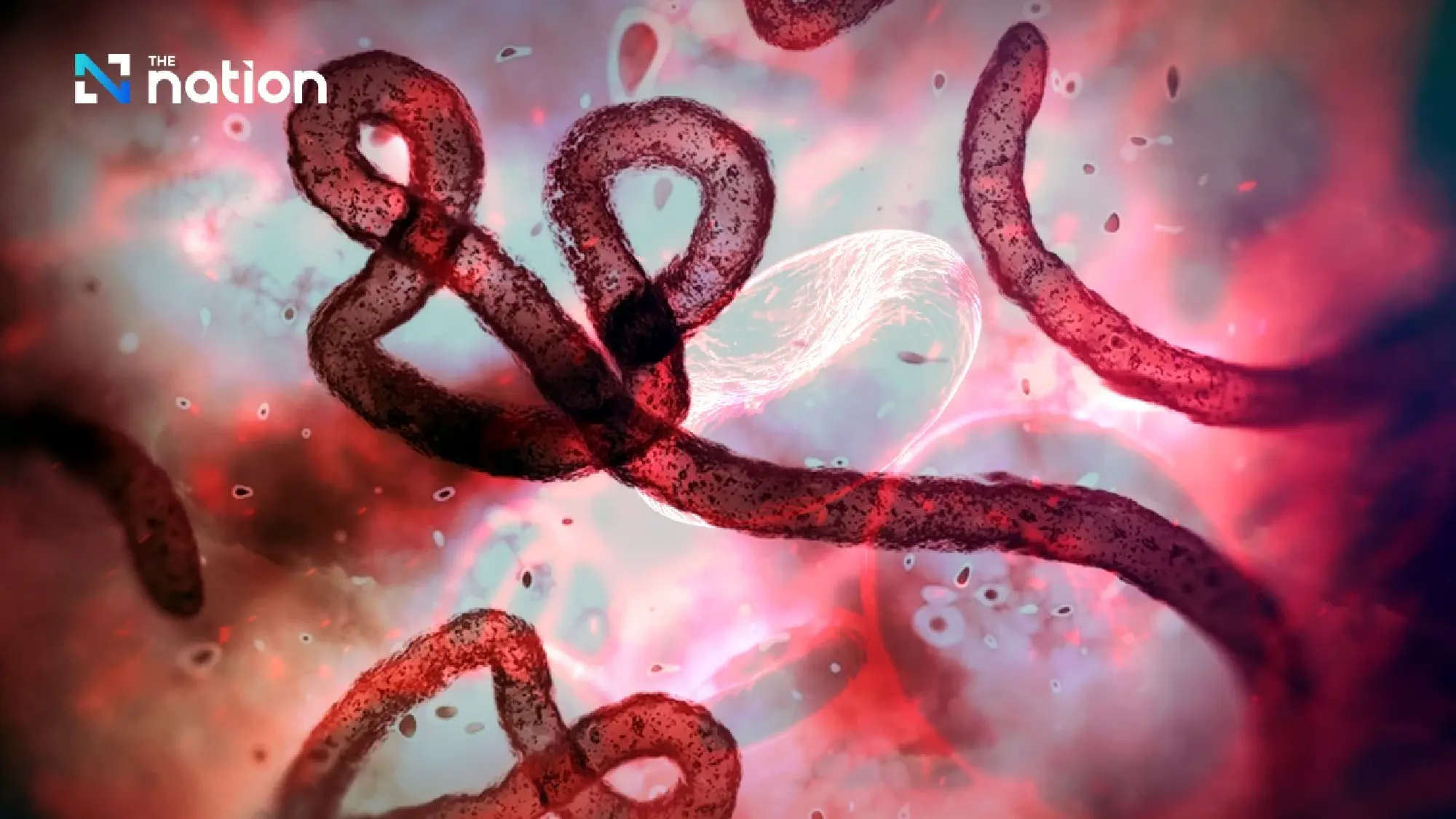 Thailand tightens Ebola checks for DRC and Uganda arrivals 