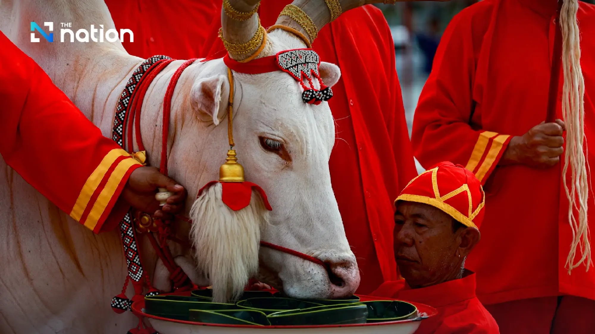 Royal Ploughing Ceremony returns with centuries-old traditions