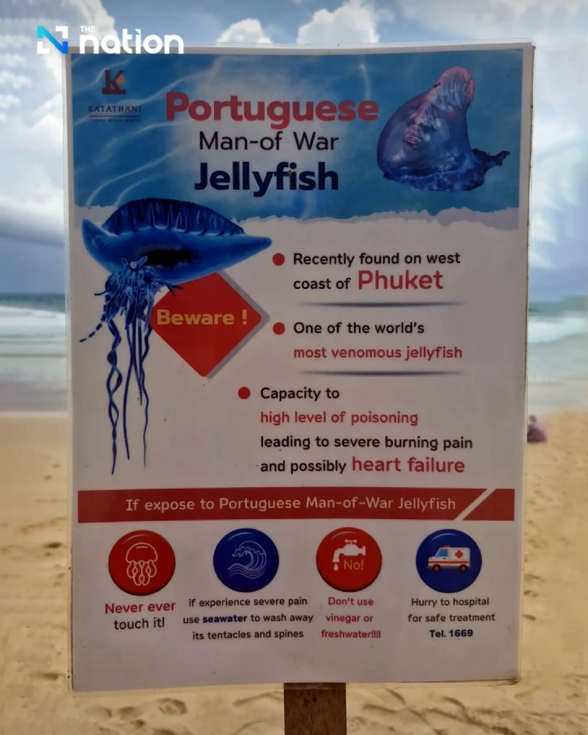Venomous Portuguese man o’ war prompts Phuket beach warning