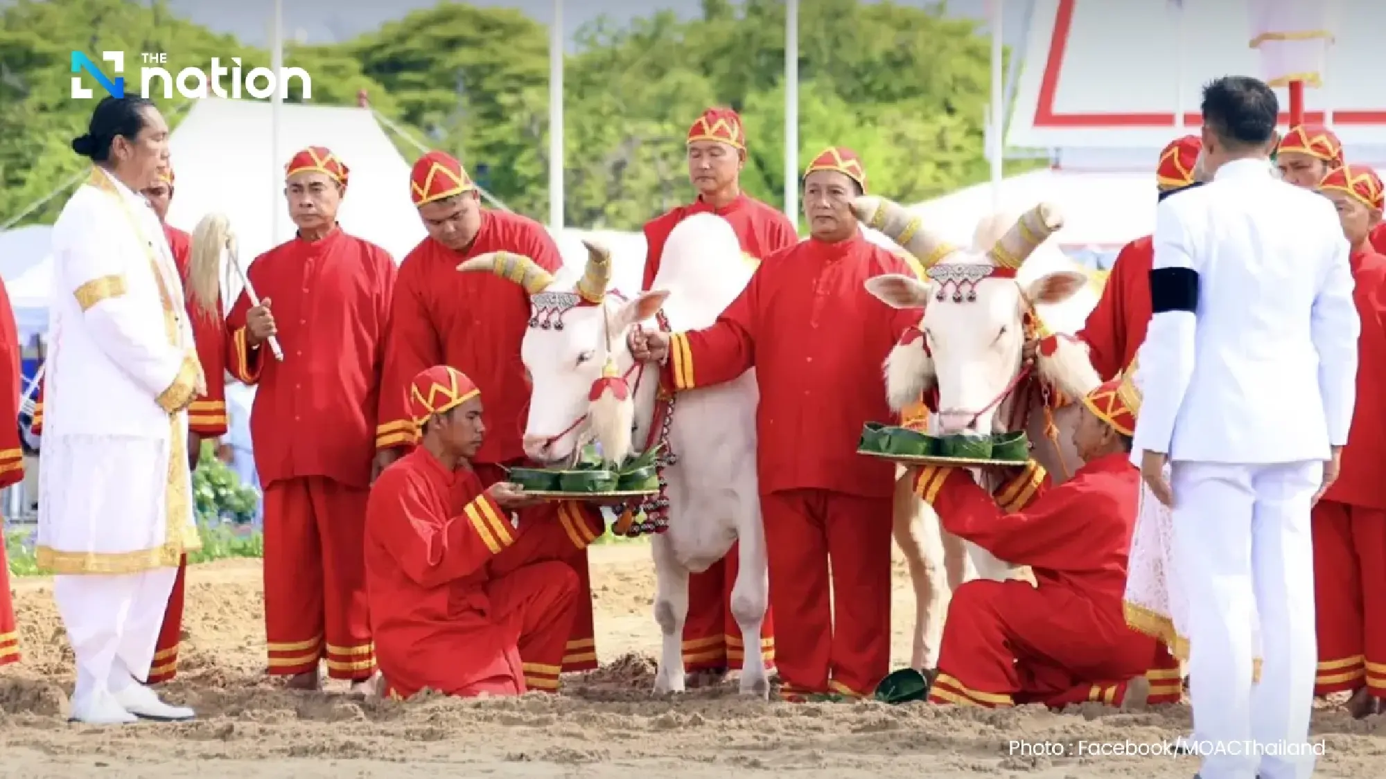 Royal Ploughing Ceremony predicts low water, stronger trade