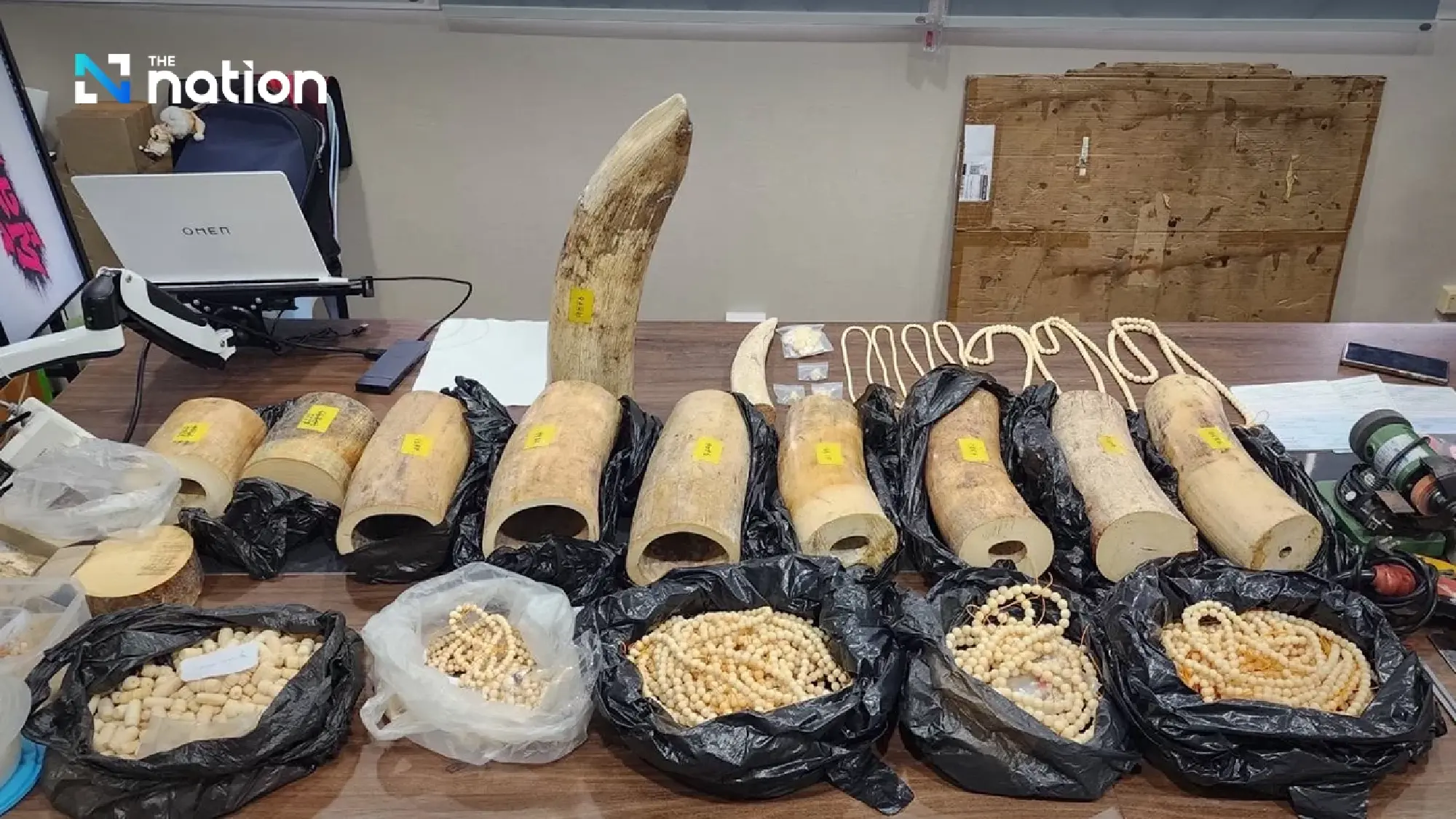 Ivory network busted — CIB seizes B10m haul in seven-province raids