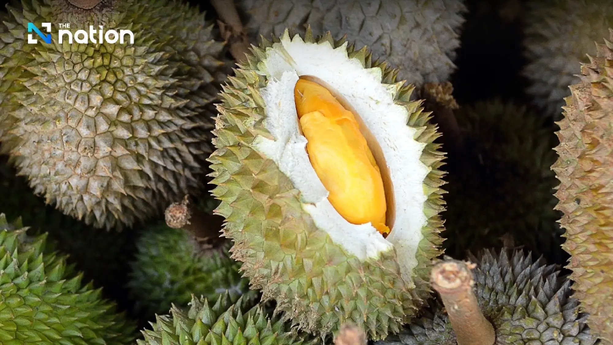 What never to eat with durian