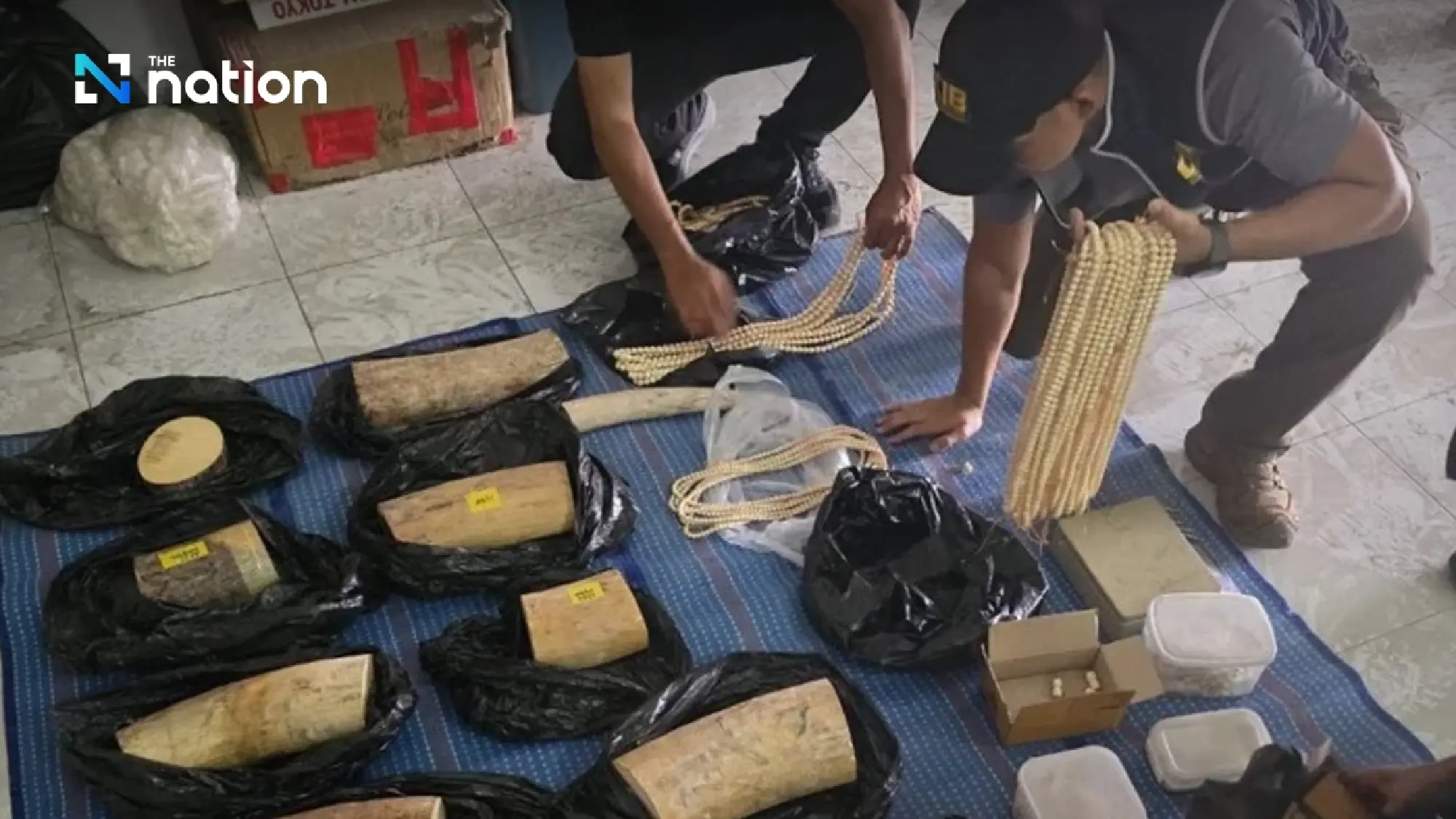 Ivory network busted — CIB seizes B10m haul in seven-province raids