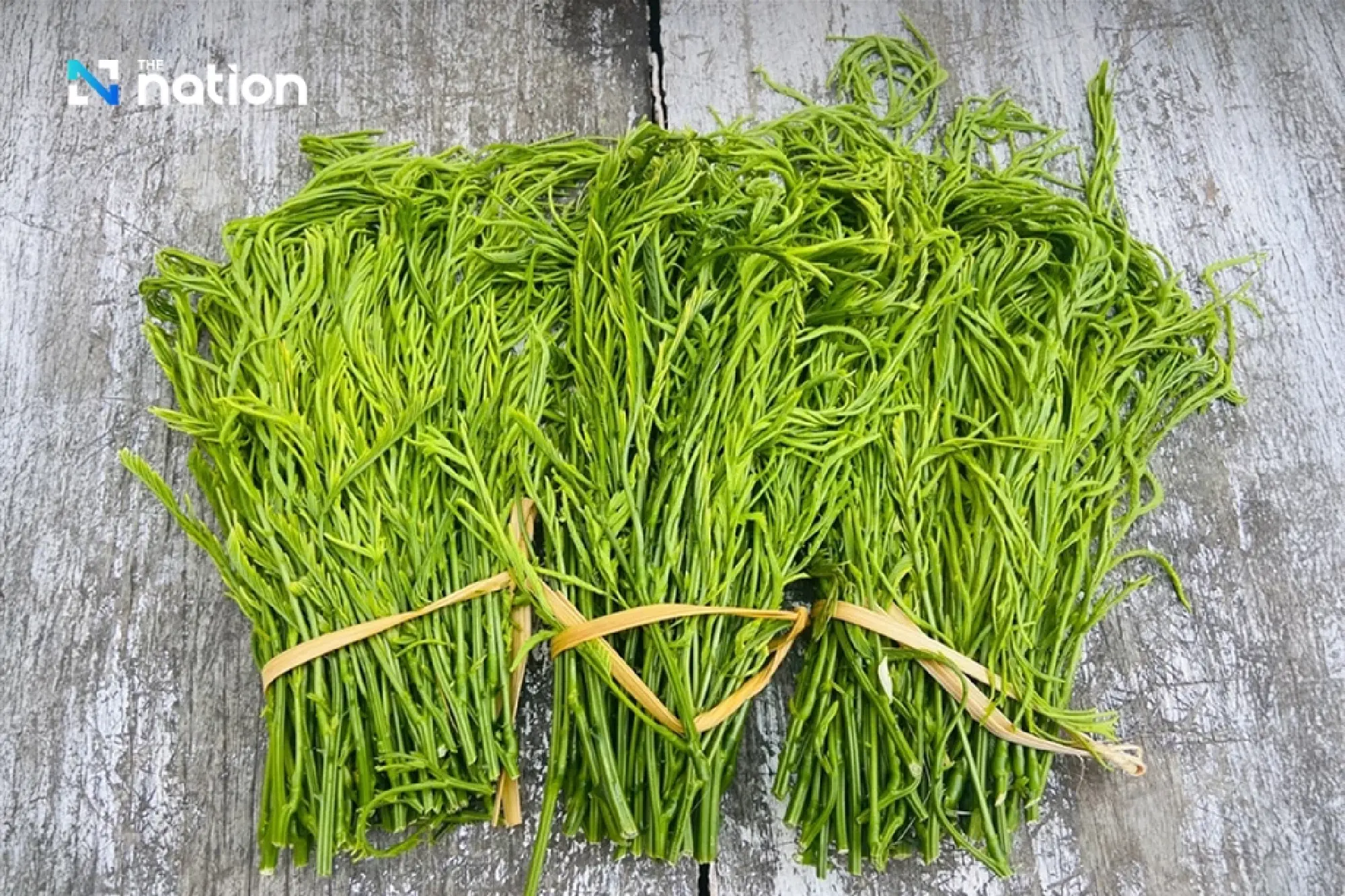 Why Thailand’s pungent flavours are its most beloved