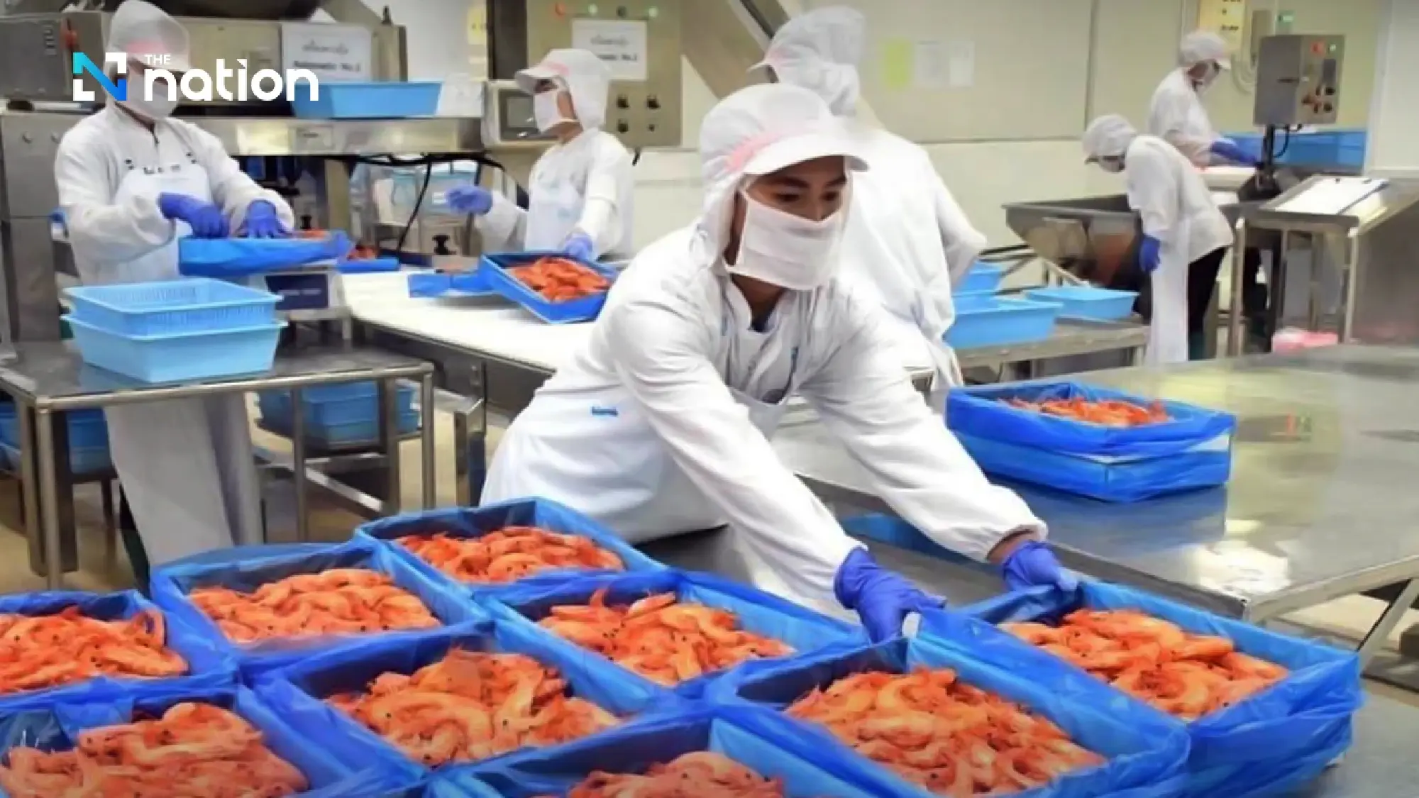 Malaysia to suspend imports of five Thai shrimp species from June 1