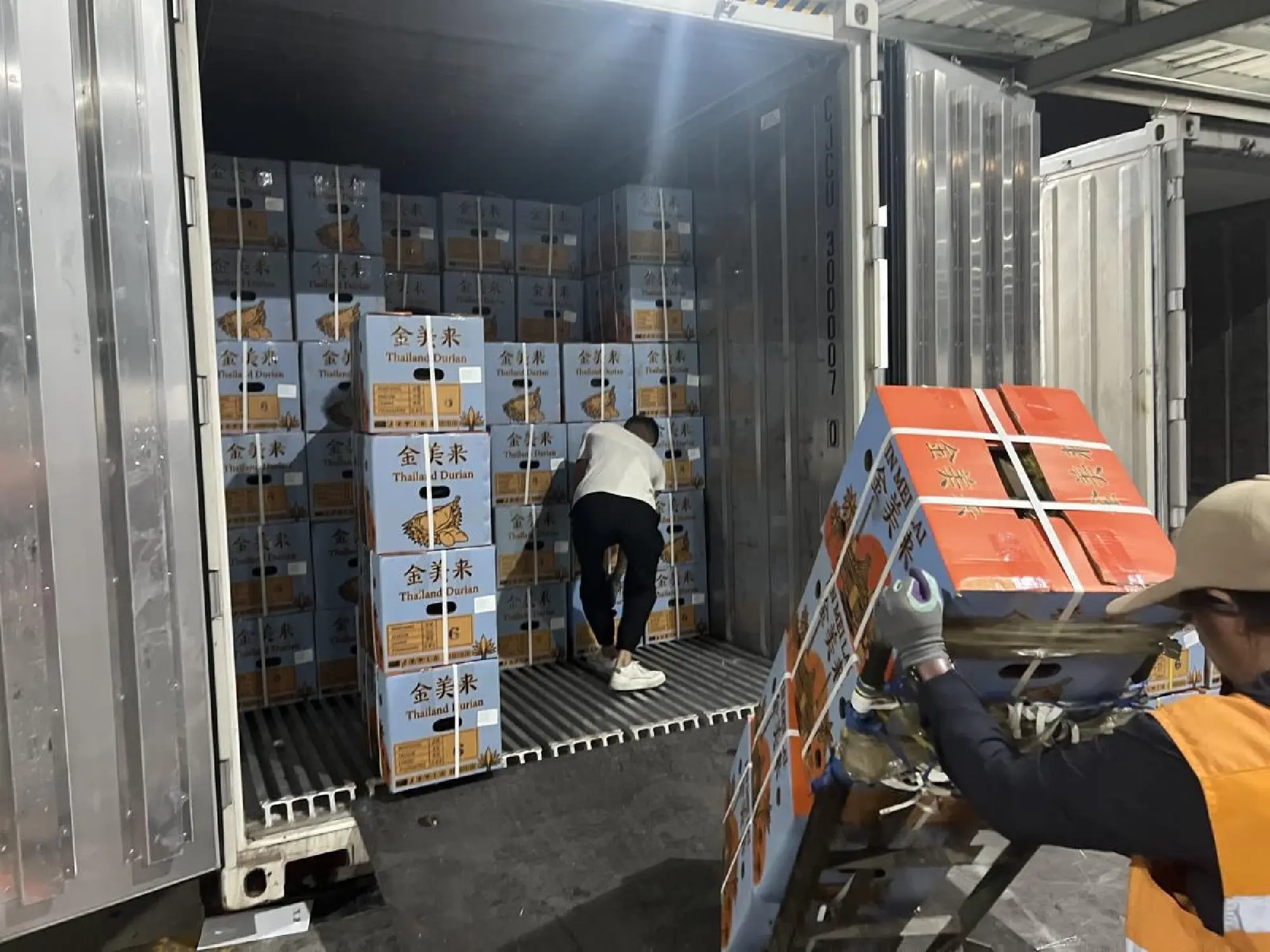 China-Laos rail cold chain lifts durian trade with Southeast Asia