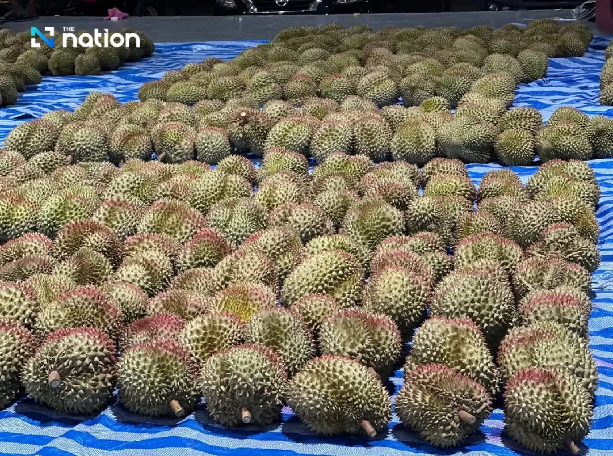 Thailand cracks down on storm-fallen durians to protect export quality
