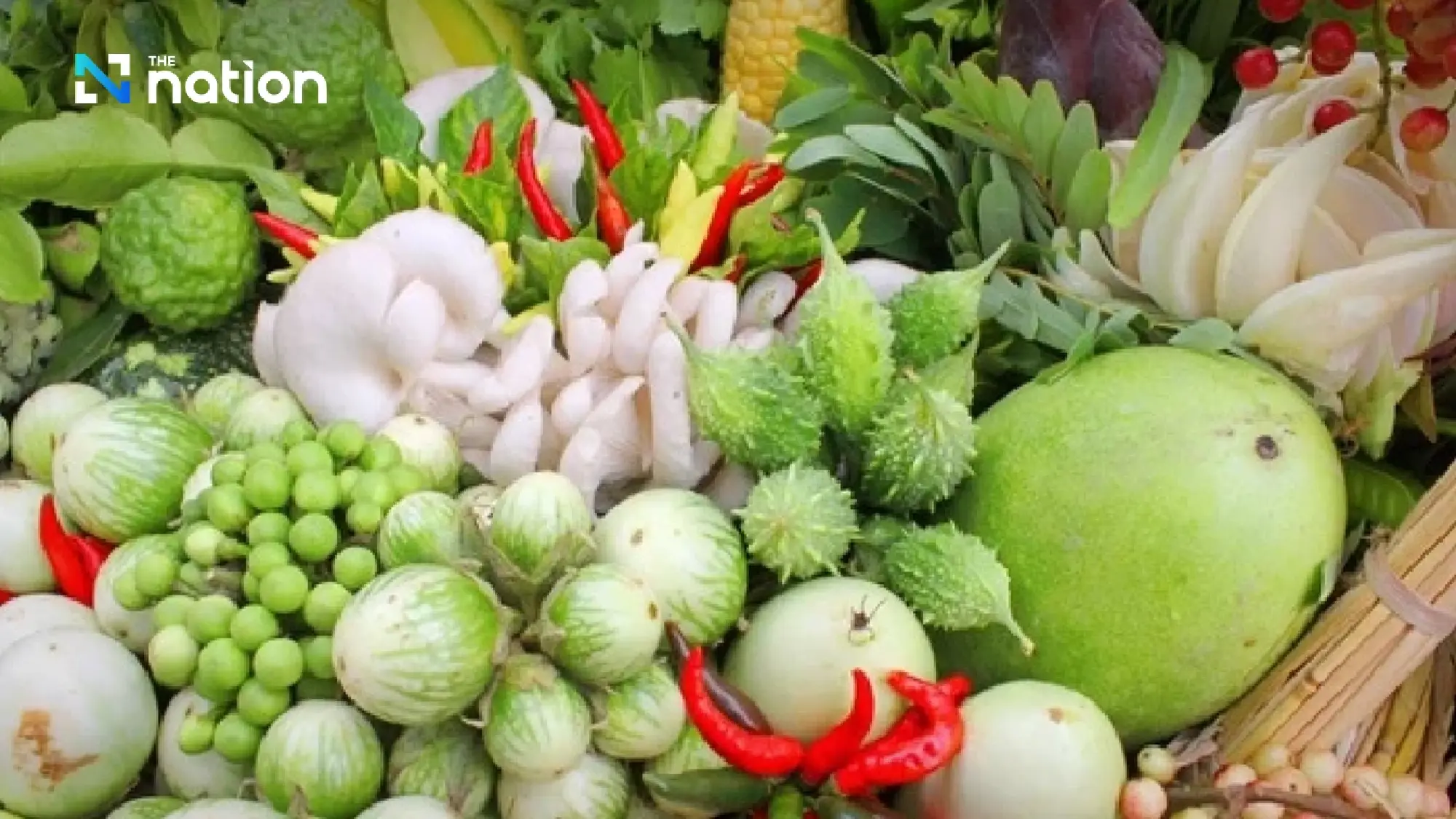 Raw vegetable parasite risk sparks health warning as celery, mint top contamination list