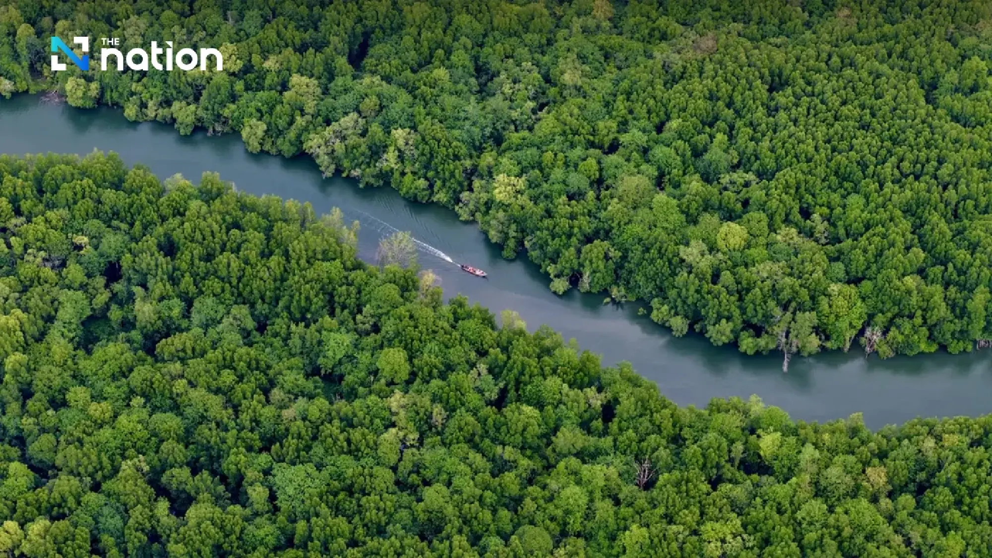 World Biodiversity Day: Doi Tung model turns forests into sustainable economic capital