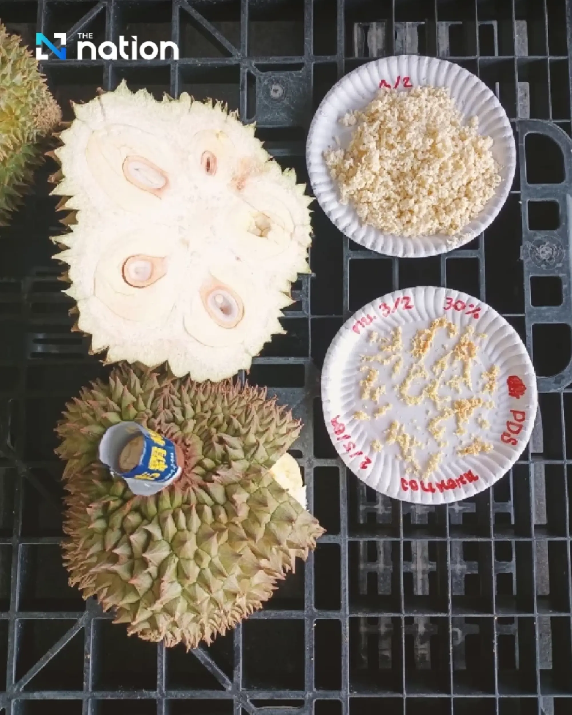 Durian crackdown — 1.5 tonnes of unripe fruit seized in Chanthaburi