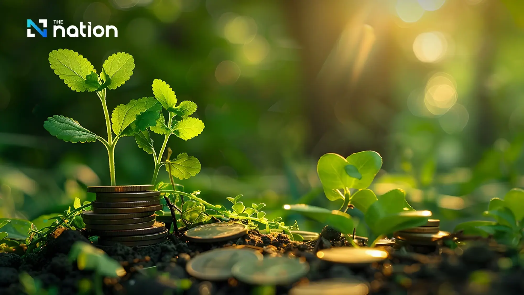 Thailand to issue 30 billion baht savings bond to fund deficit and key welfare projects
