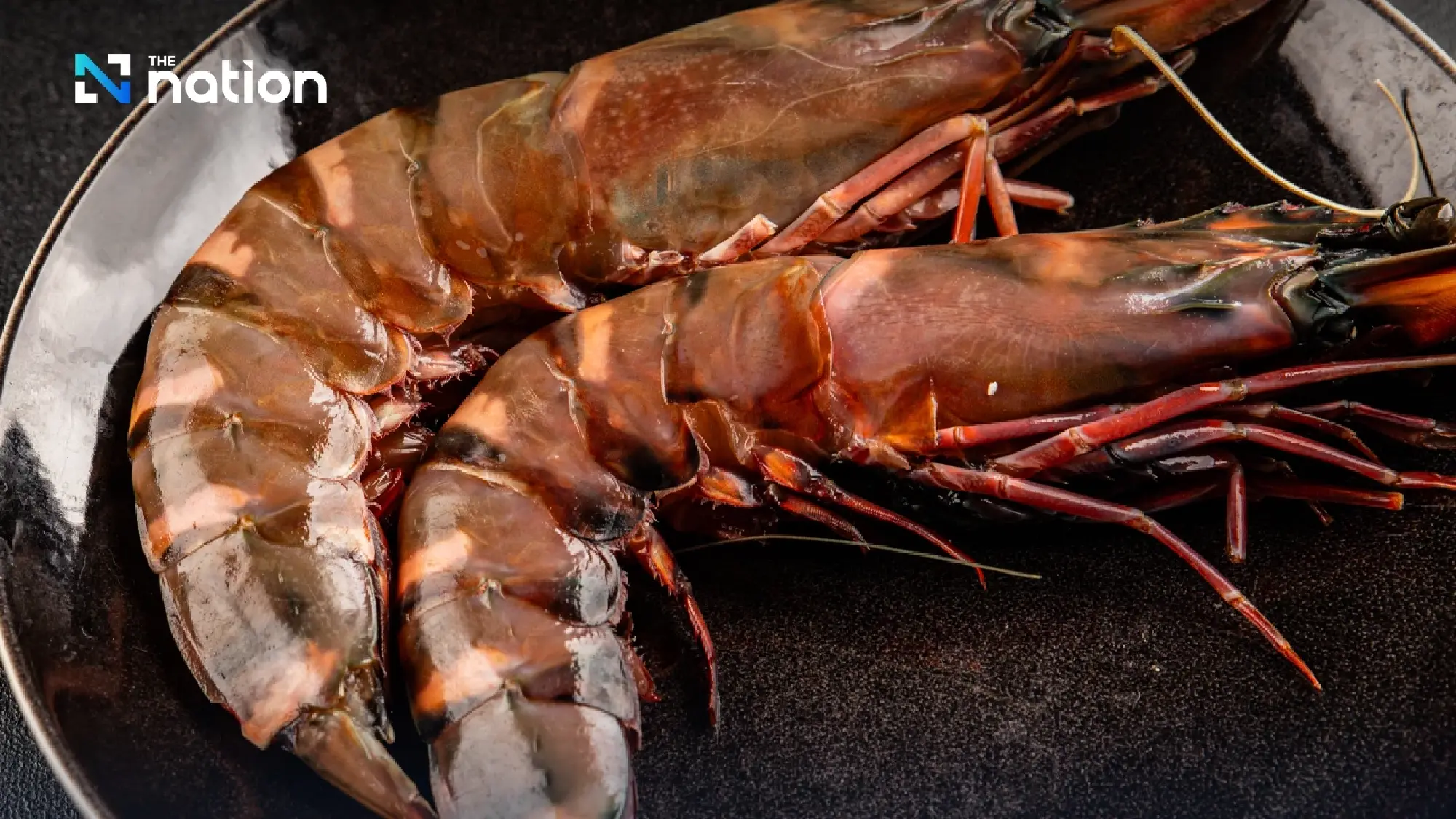 Malaysia to suspend imports of five Thai shrimp species from June 1