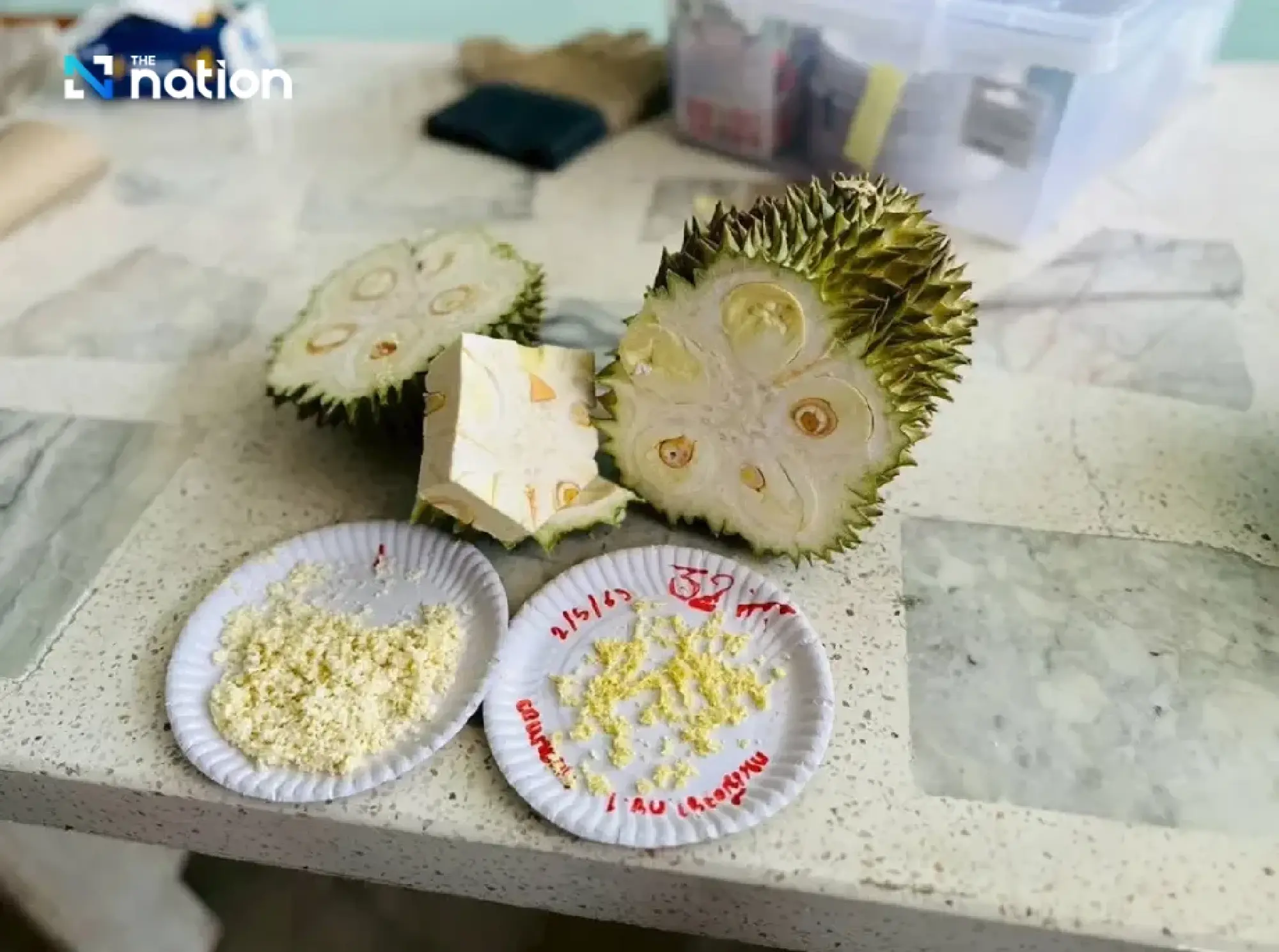 Thailand cracks down on storm-fallen durians to protect export quality