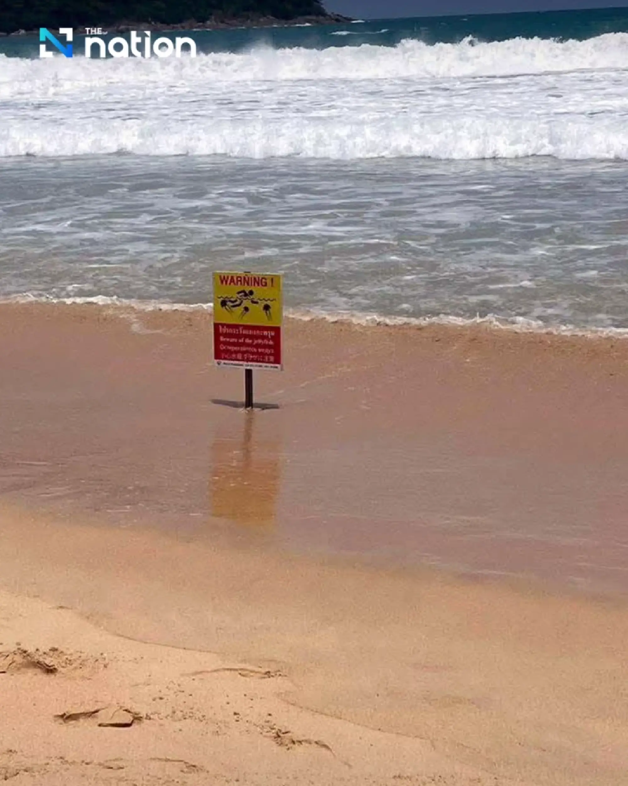 Venomous Portuguese man o’ war prompts Phuket beach warning