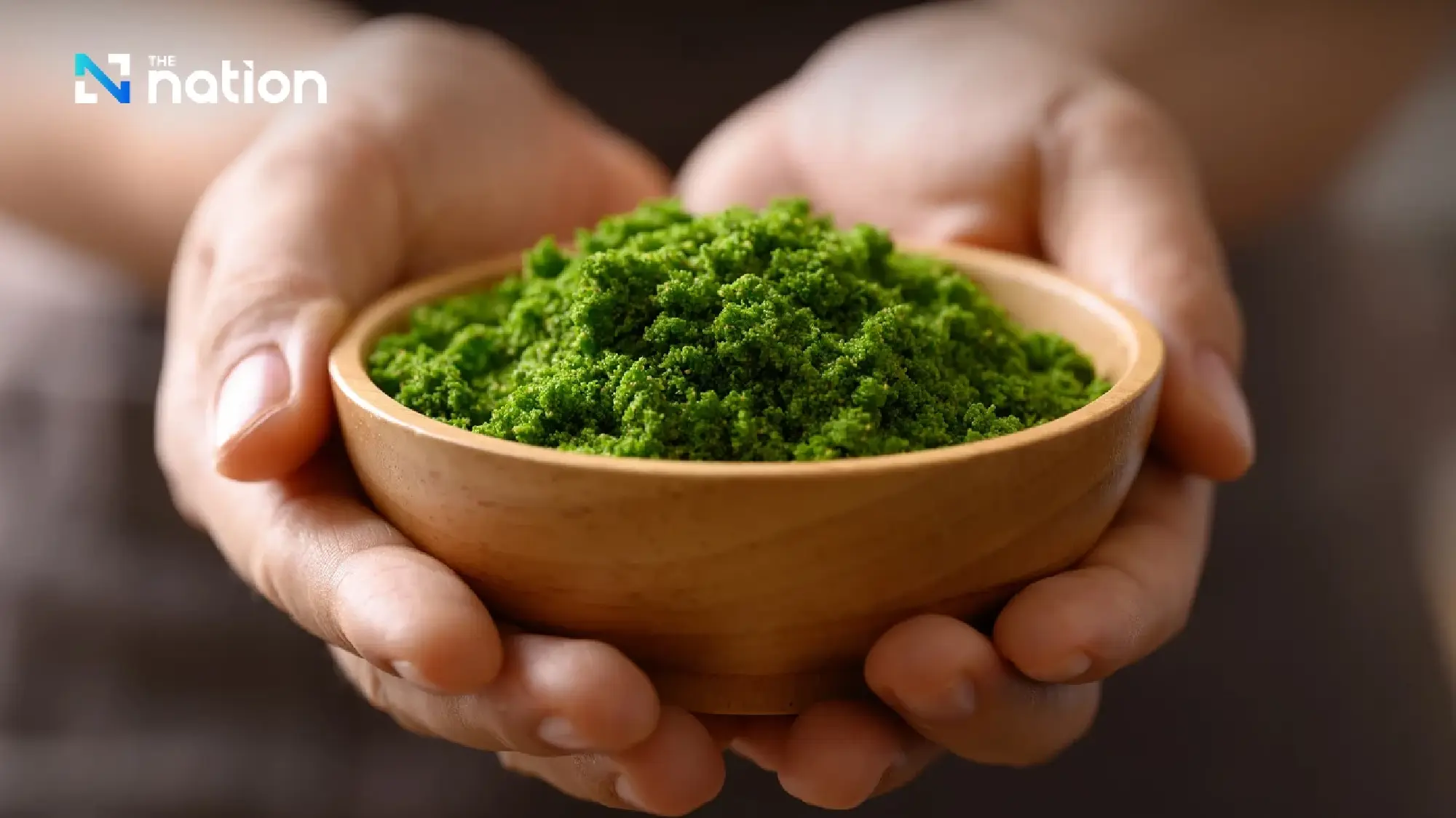 Thai watermeal tipped as ‘green gold’ of future food