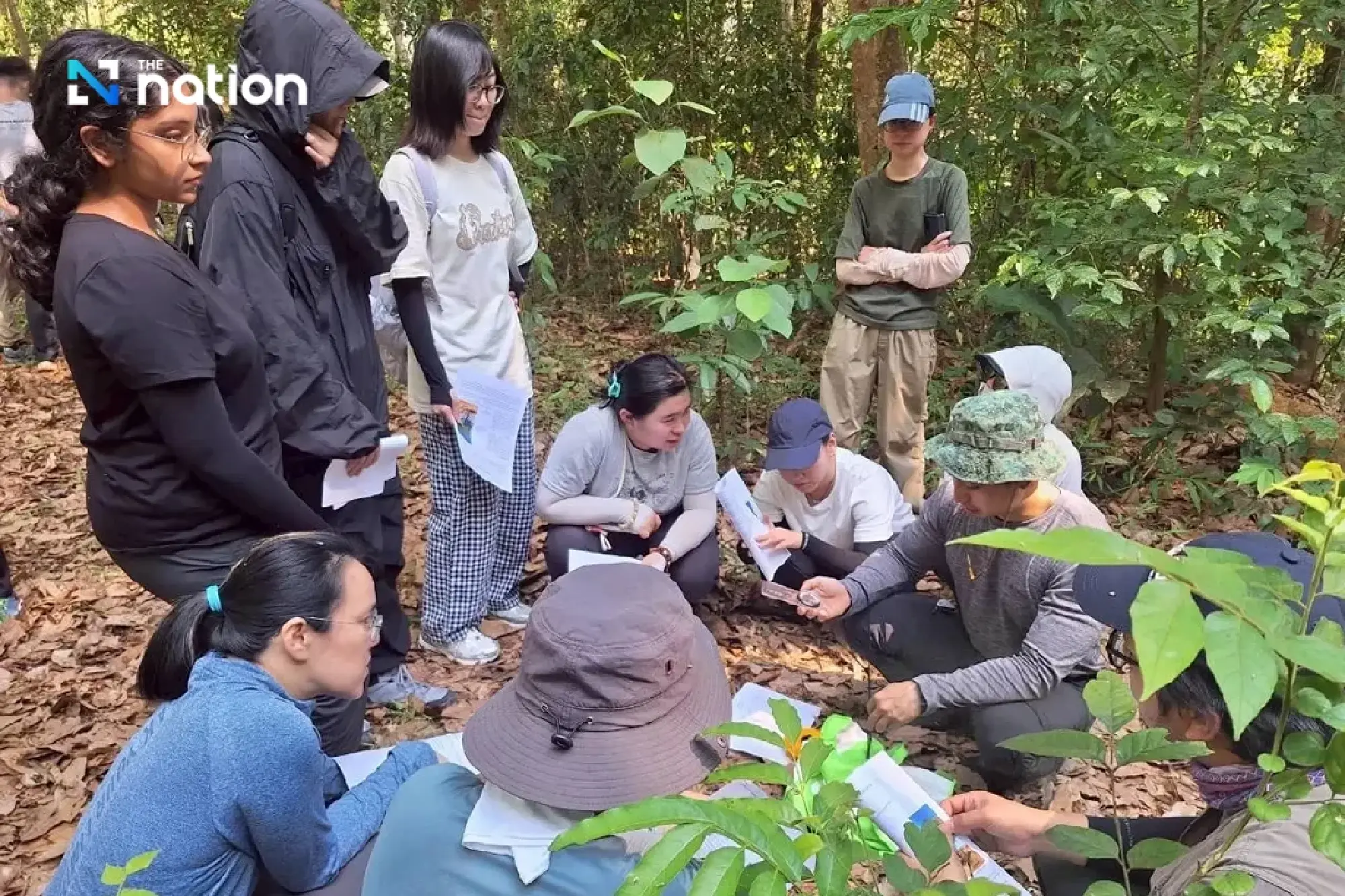 World Biodiversity Day: Doi Tung model turns forests into sustainable economic capital