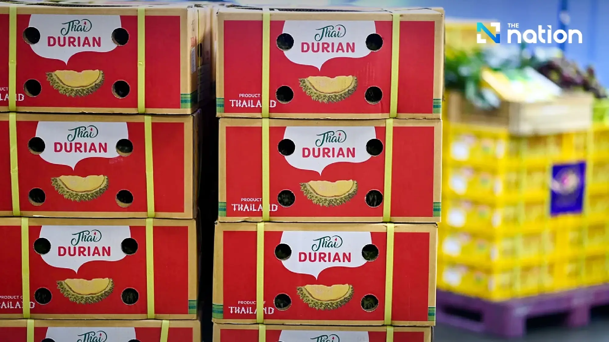 Mohan emerges as key China gateway for Thai durian exports