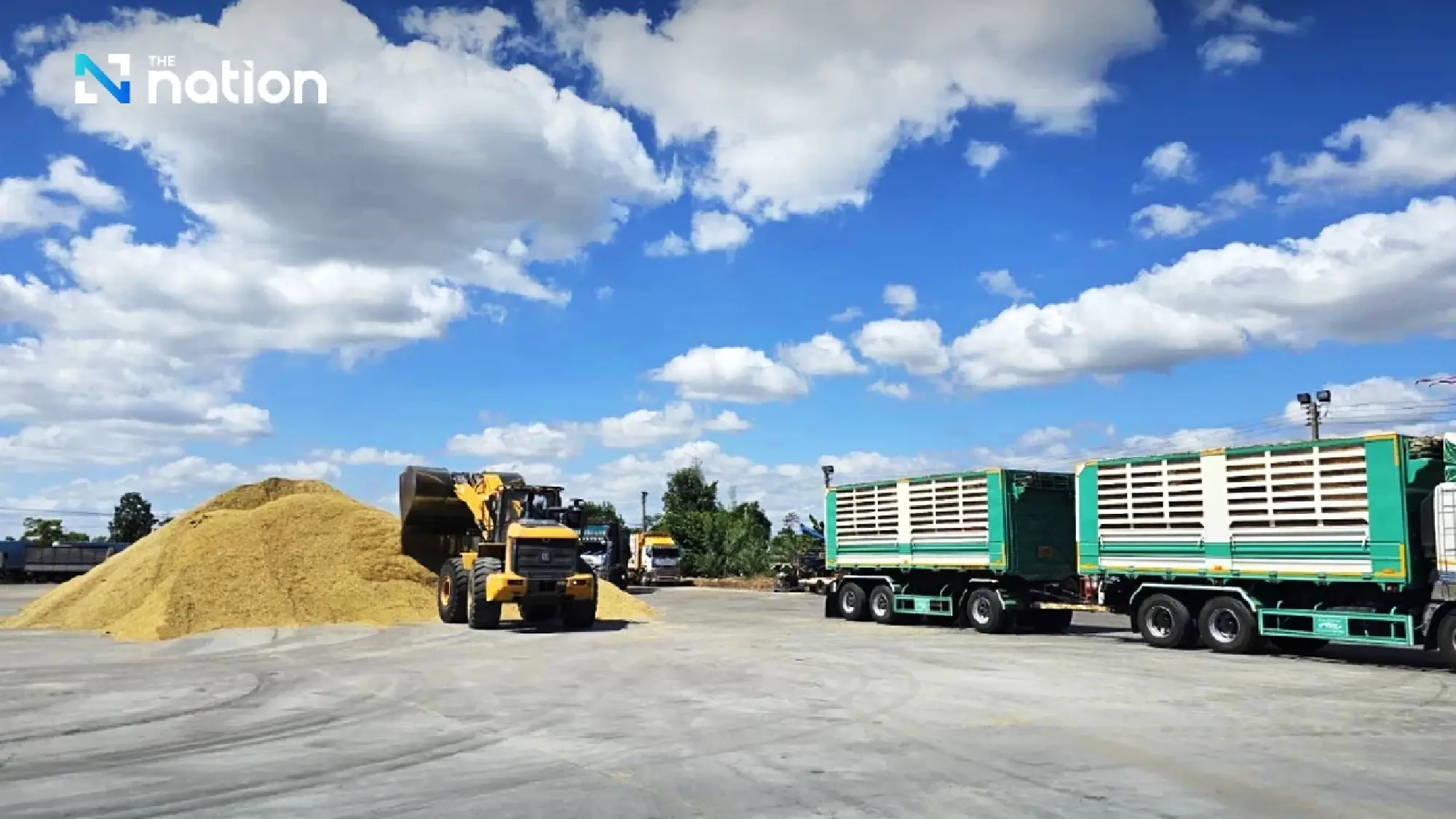 Thai Rice Exports Set for Second-Half Recovery as Super El Niño Triggers Global Stockpiling