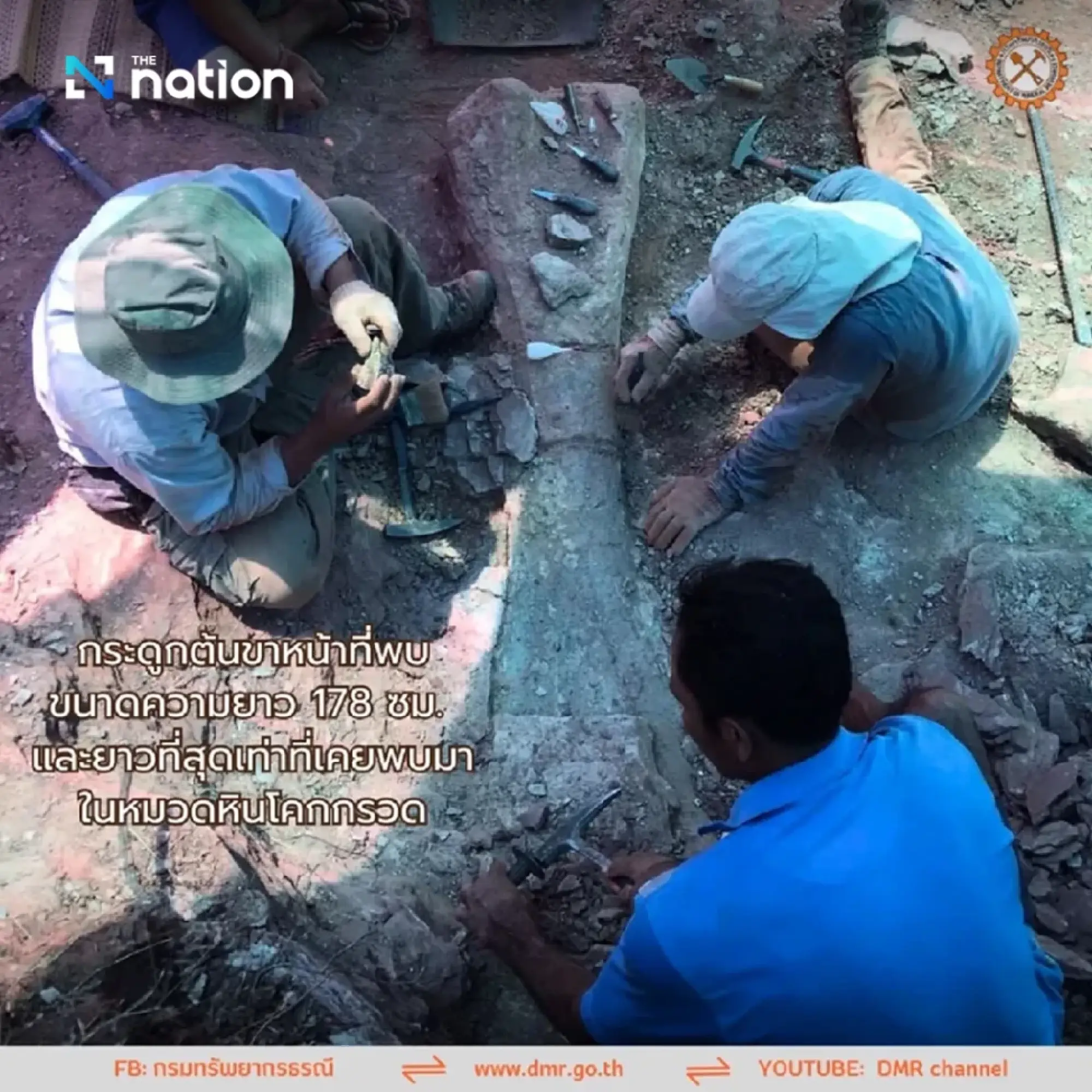 New giant dinosaur species found in Thailand’s Chaiyaphum