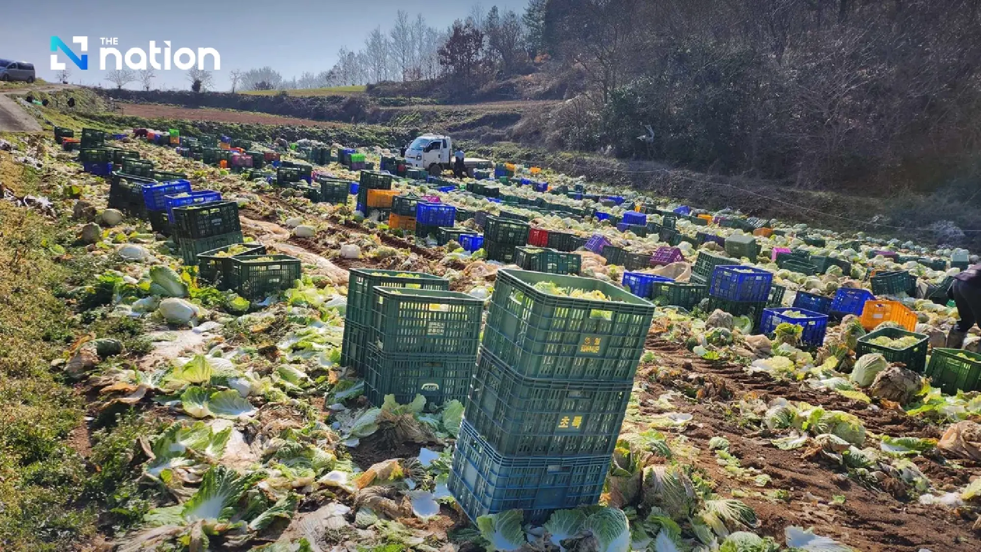 South Korea halts seasonal worker intake from four Thai provinces