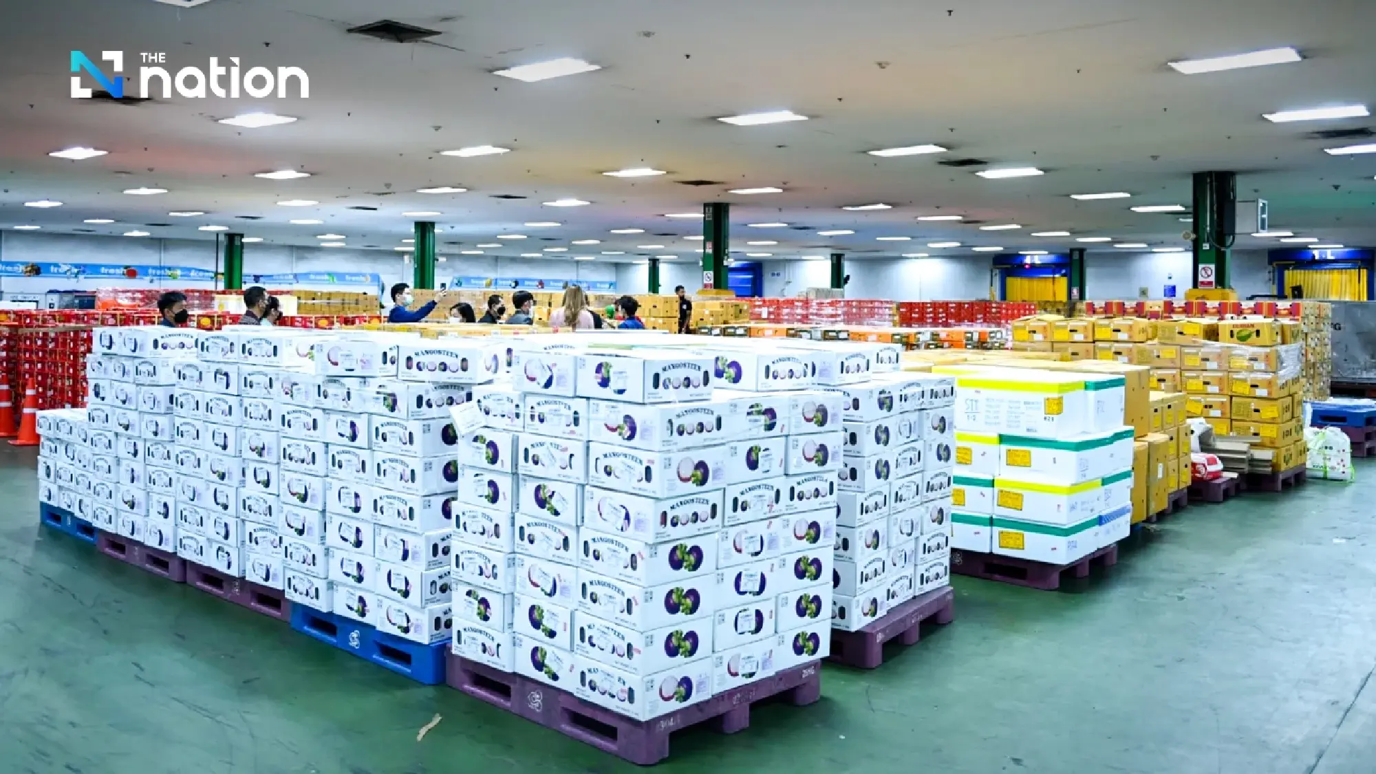Thai Fruit Exports Surge 56% in First Quarter as Commerce Ministry Drives Aggressive Global Campaigns