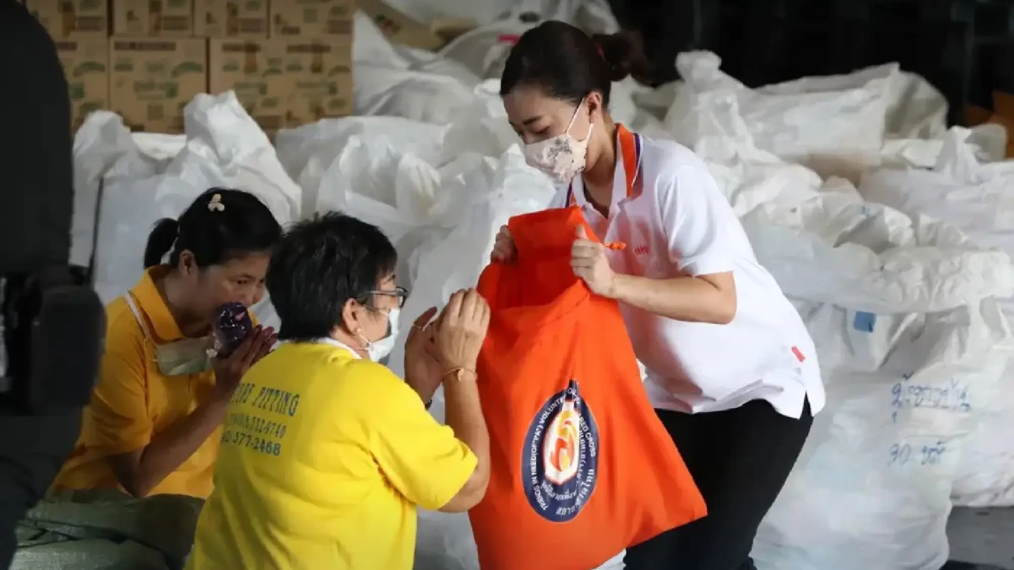 The Birth of Hope: How a Young Princess’s Empathy Founded a National Lifeline