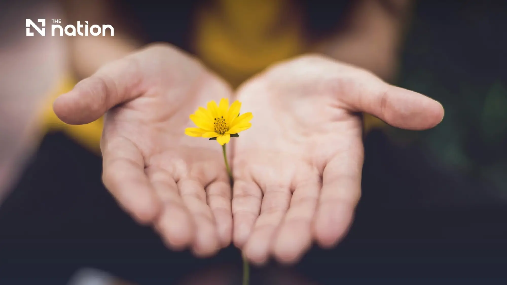 The Hidden Connection Between Trauma, Displacement, and Addiction