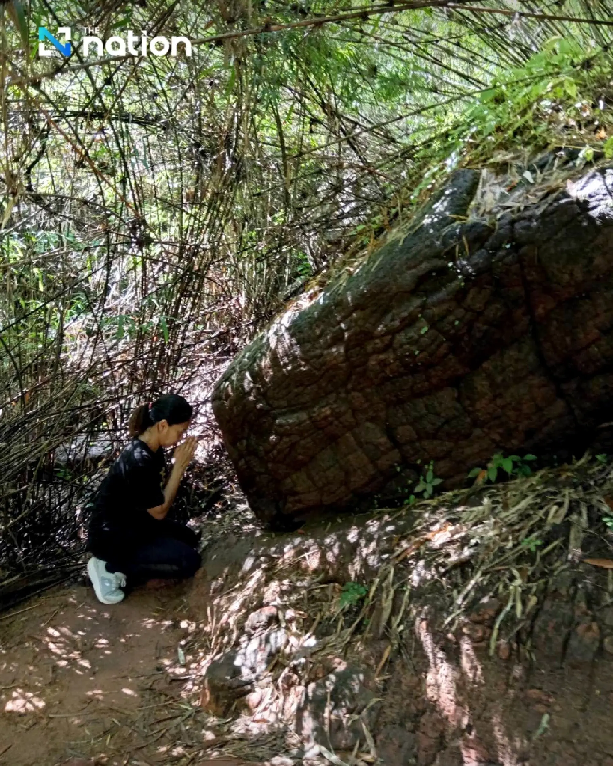 Mystical Awakening: Naka Cave Reopens in Lush Green Splendour