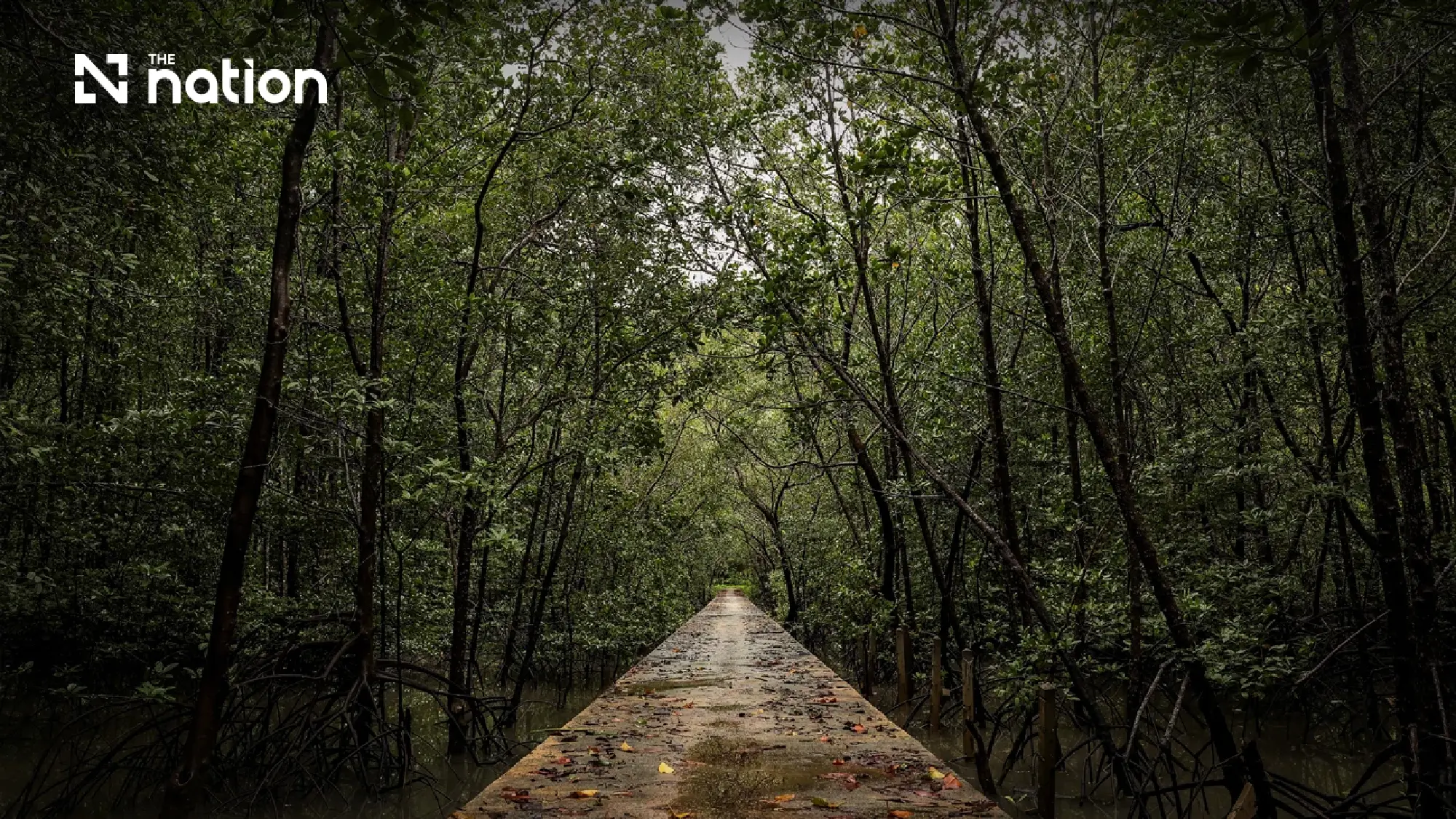 Thailand Turns to Green Transition as Energy Insecurity Threatens Growth
