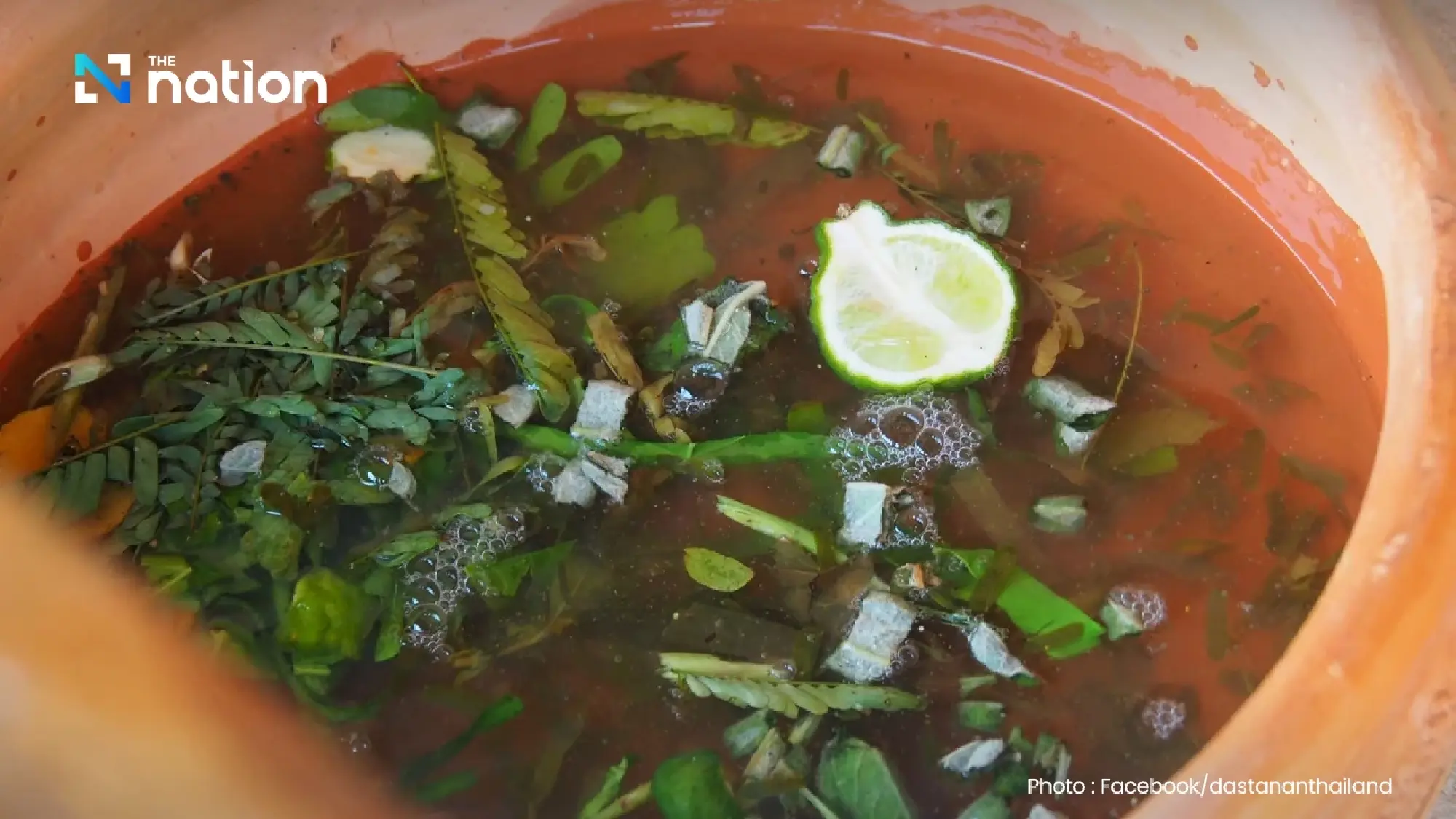 Nan’s 700-year herb texts signal Thailand’s high-value health future