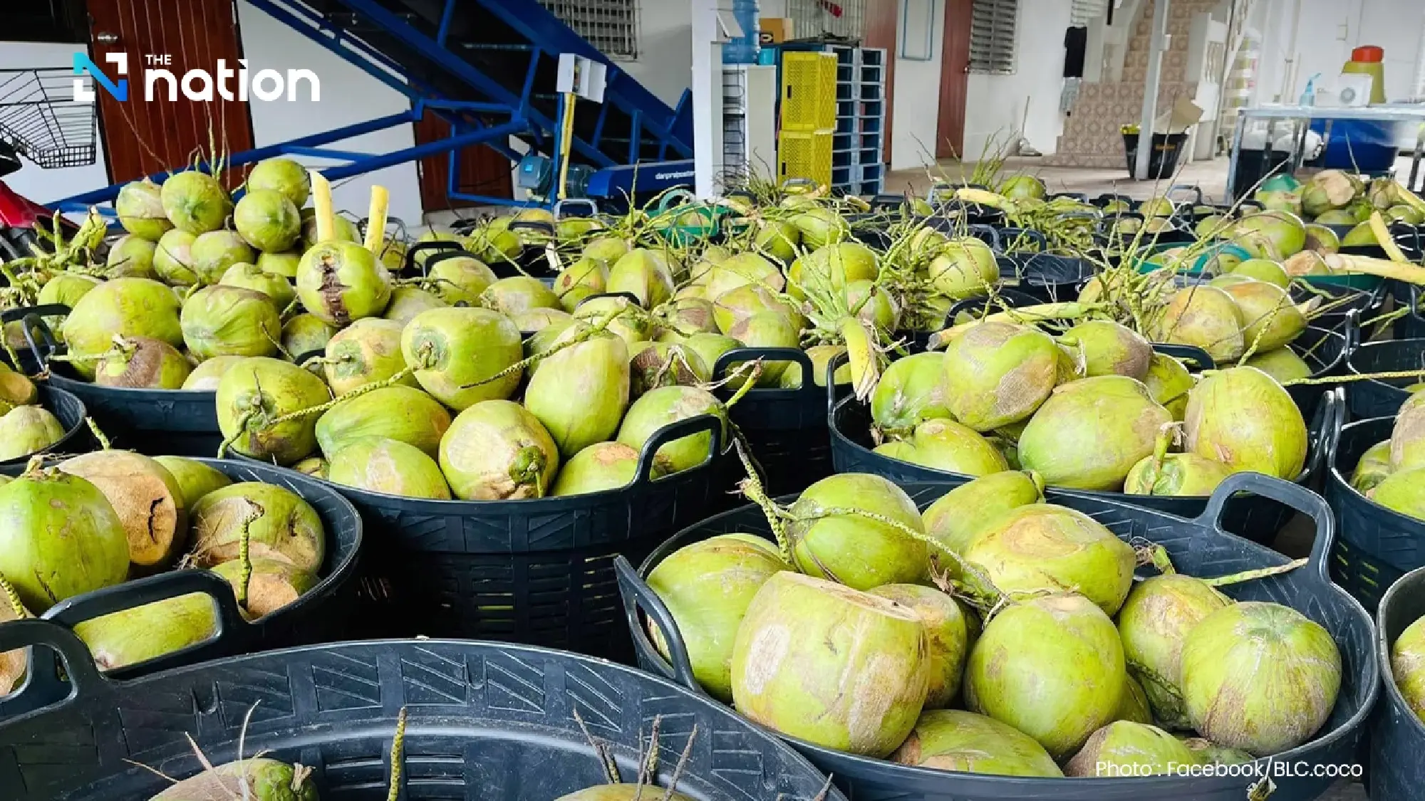 Agencies meet to rescue Thai aromatic coconut industry and crack down on nominees