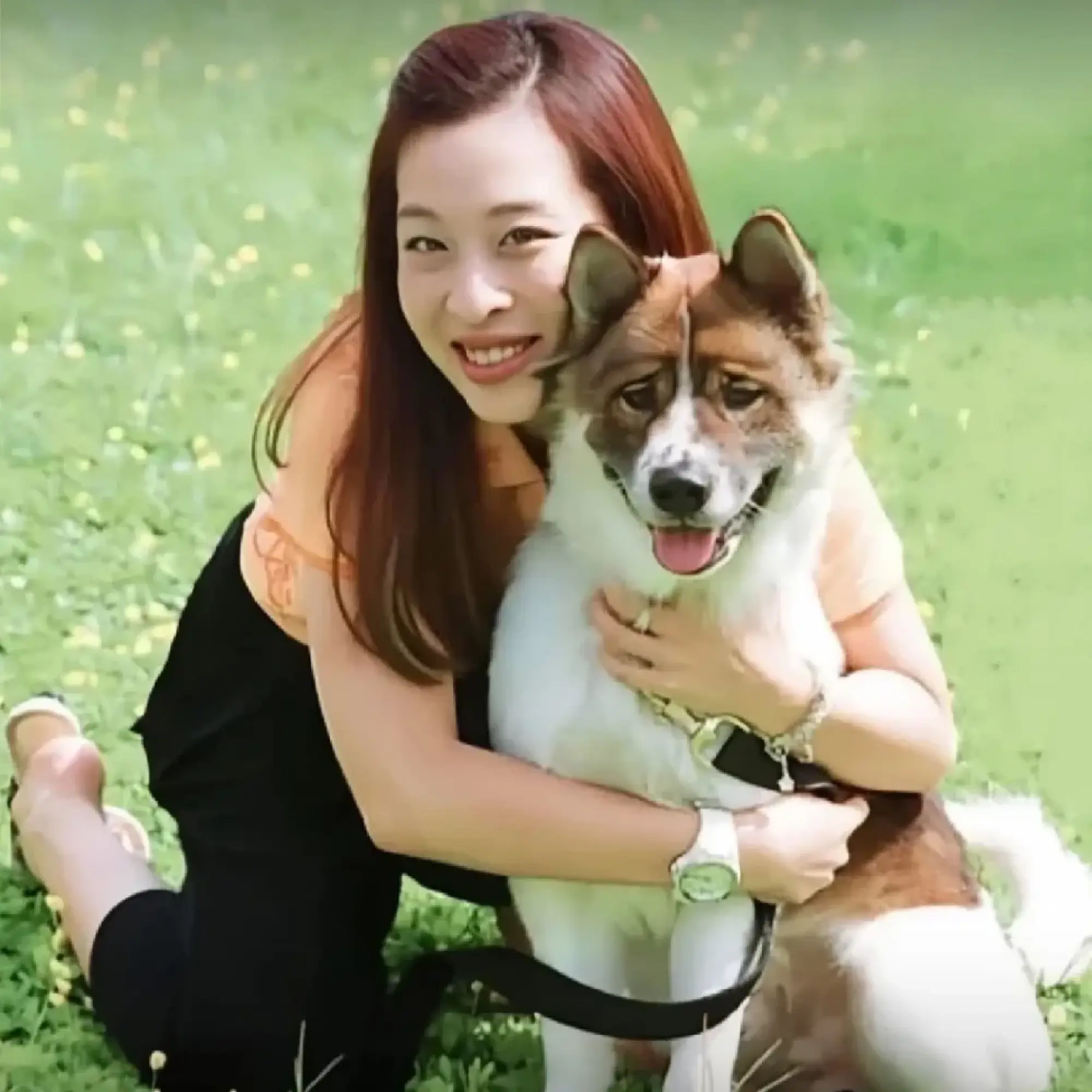 A Legacy of Limitless Grace: How Princess Bajrakitiyabha’s Royal Rescue Dogs Redefined Compassion