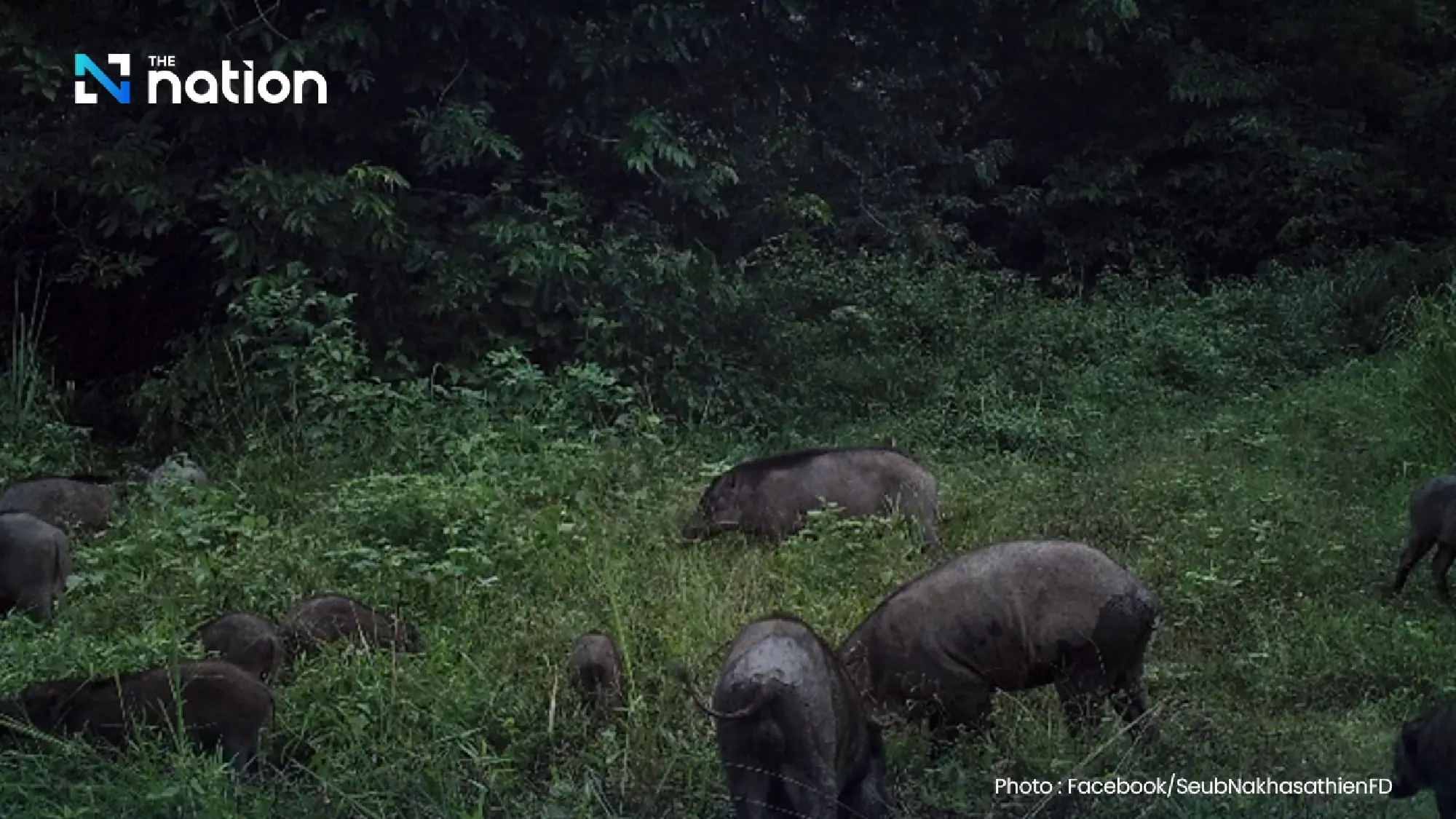 Conservation group sues over Chanthaburi reservoir plan