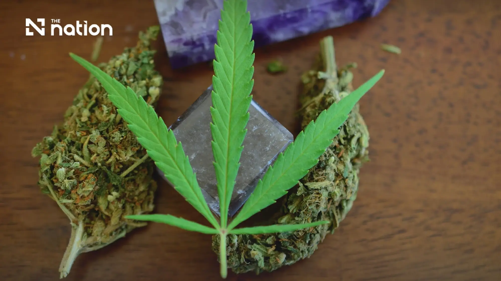 Cannabis policy reviewed amid widespread sales and legal loopholes