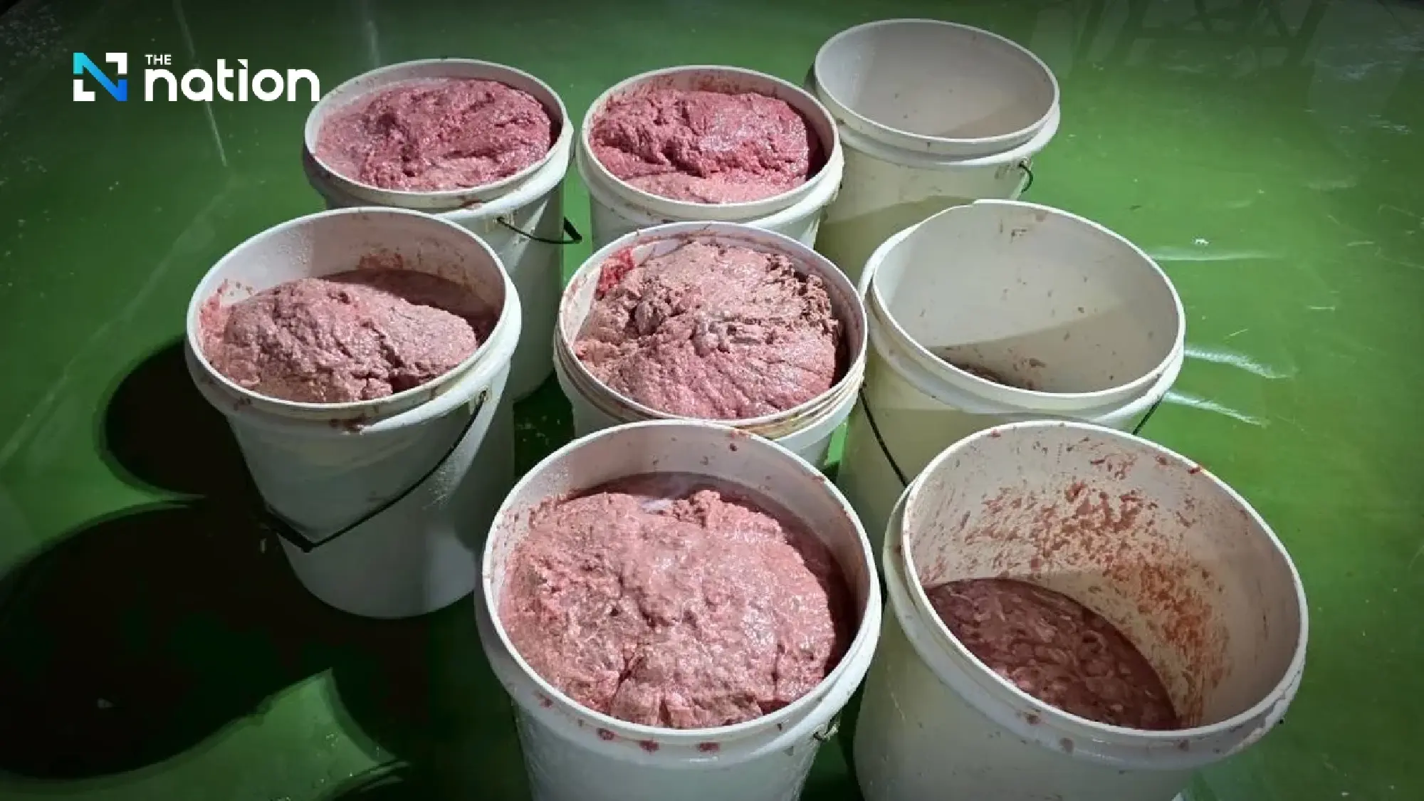 Unlicensed Pathum Thani meatball factory raided over nationwide sales