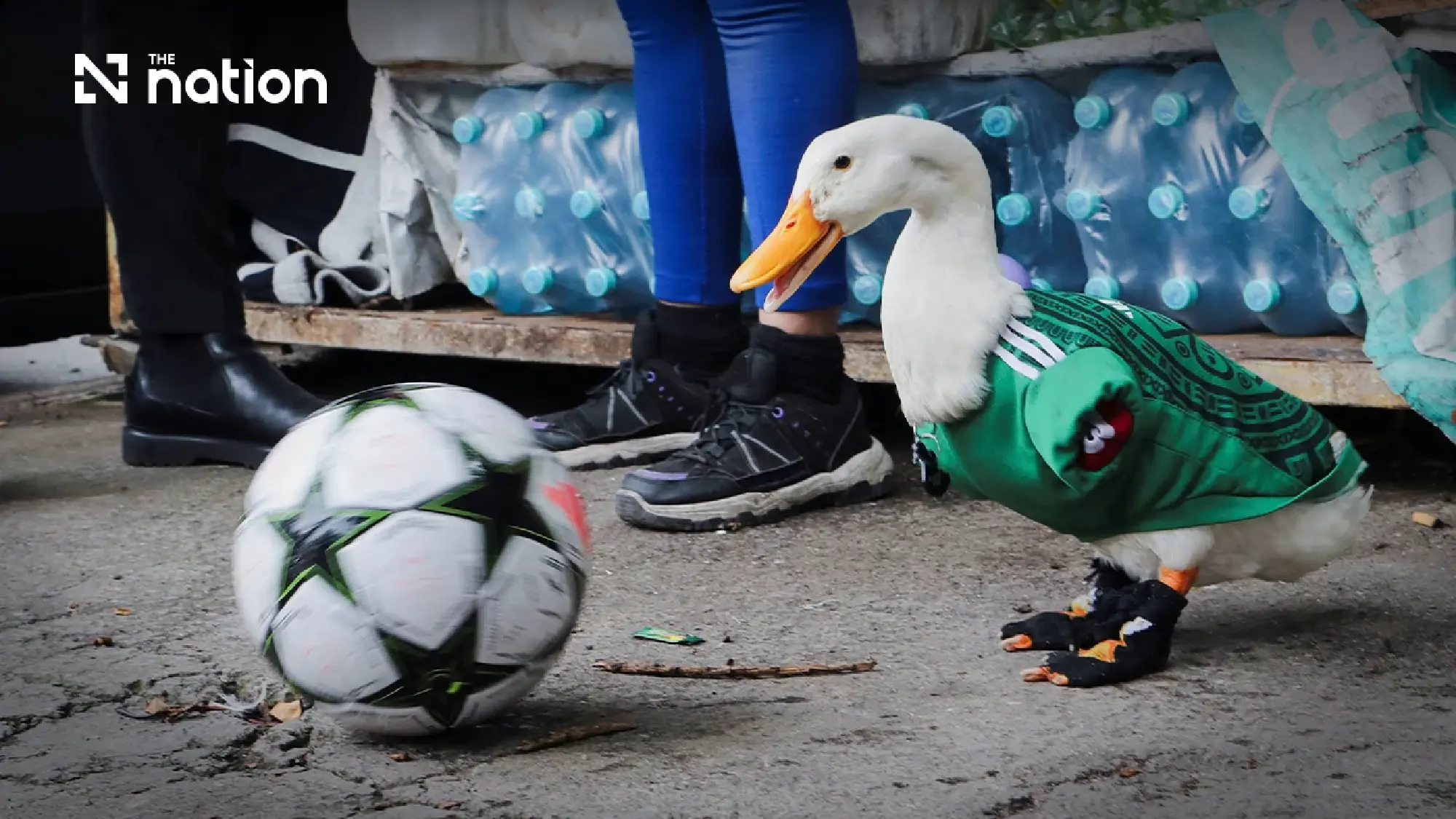 Merlin the duck becomes Mexico City’s cutest World Cup star