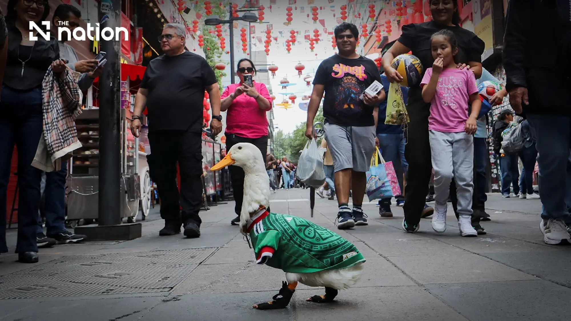 Merlin the duck becomes Mexico City’s cutest World Cup star