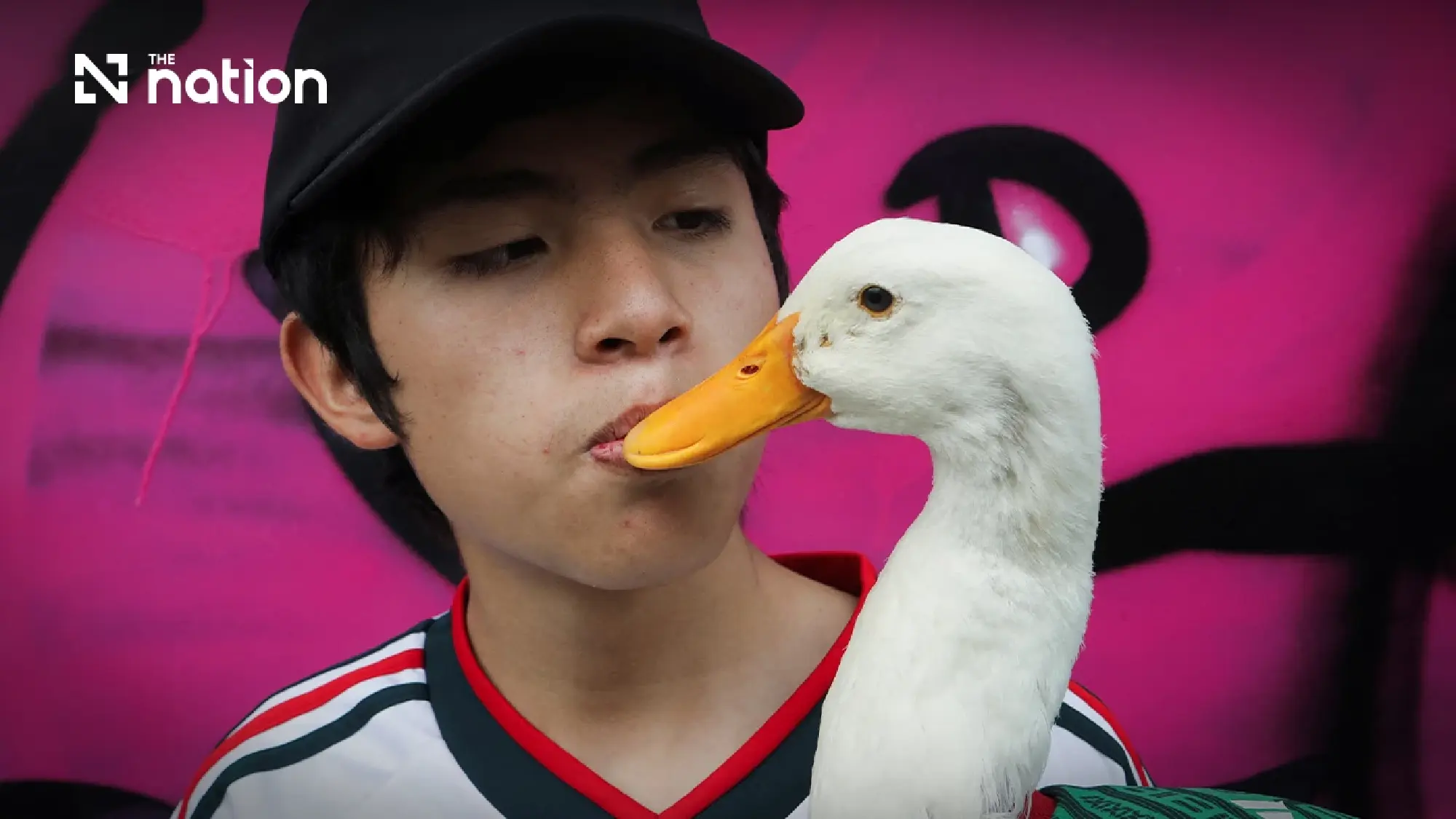 Merlin the duck becomes Mexico City’s cutest World Cup star