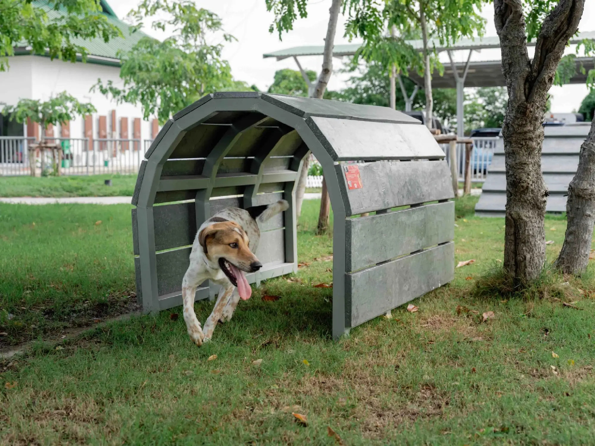 Mars Upcycles 1.2 Tons of Pet Food Packaging via SWAP Year 5