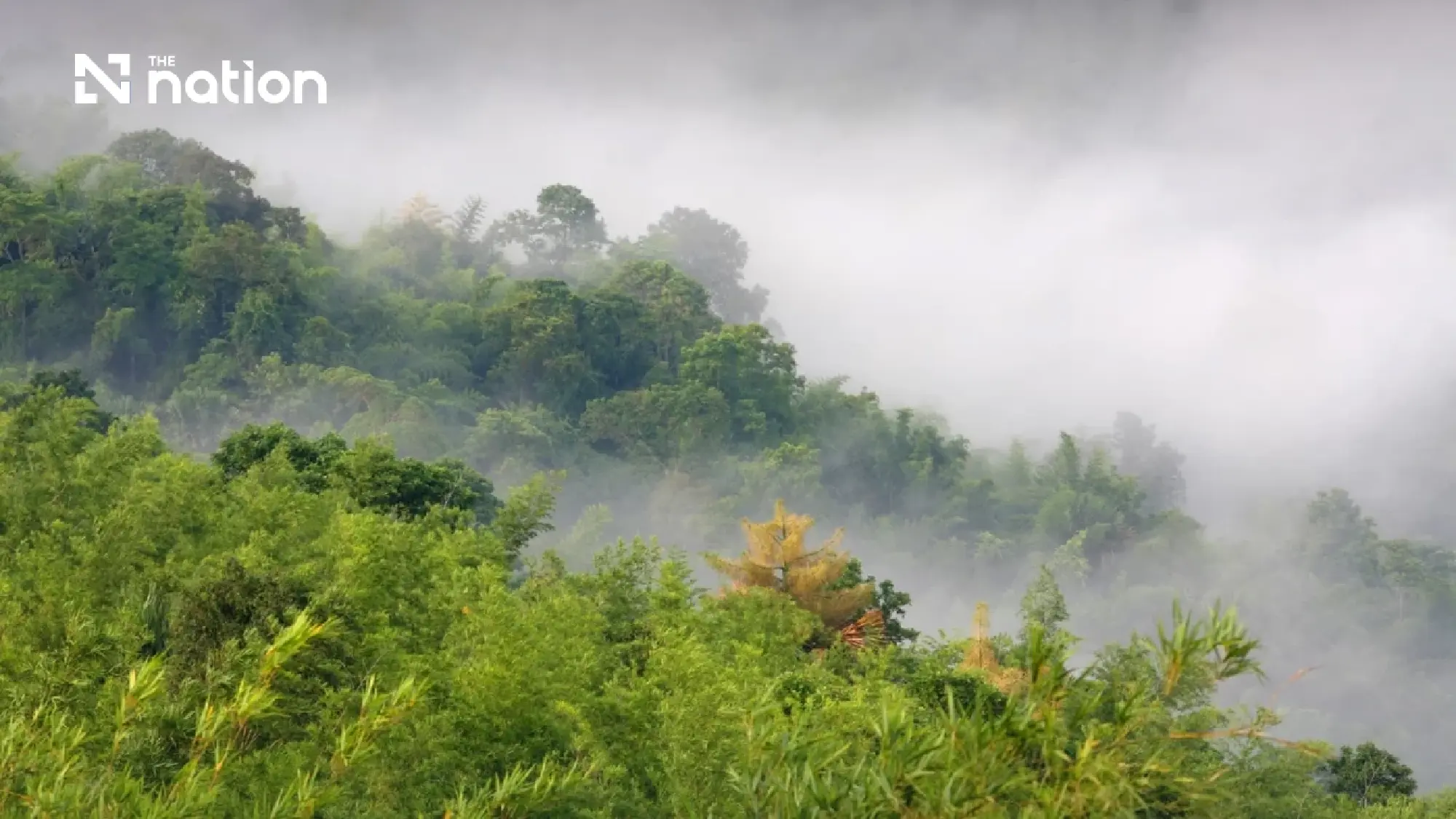 Thap Lan National Park warns against illegal land sales and transfers
