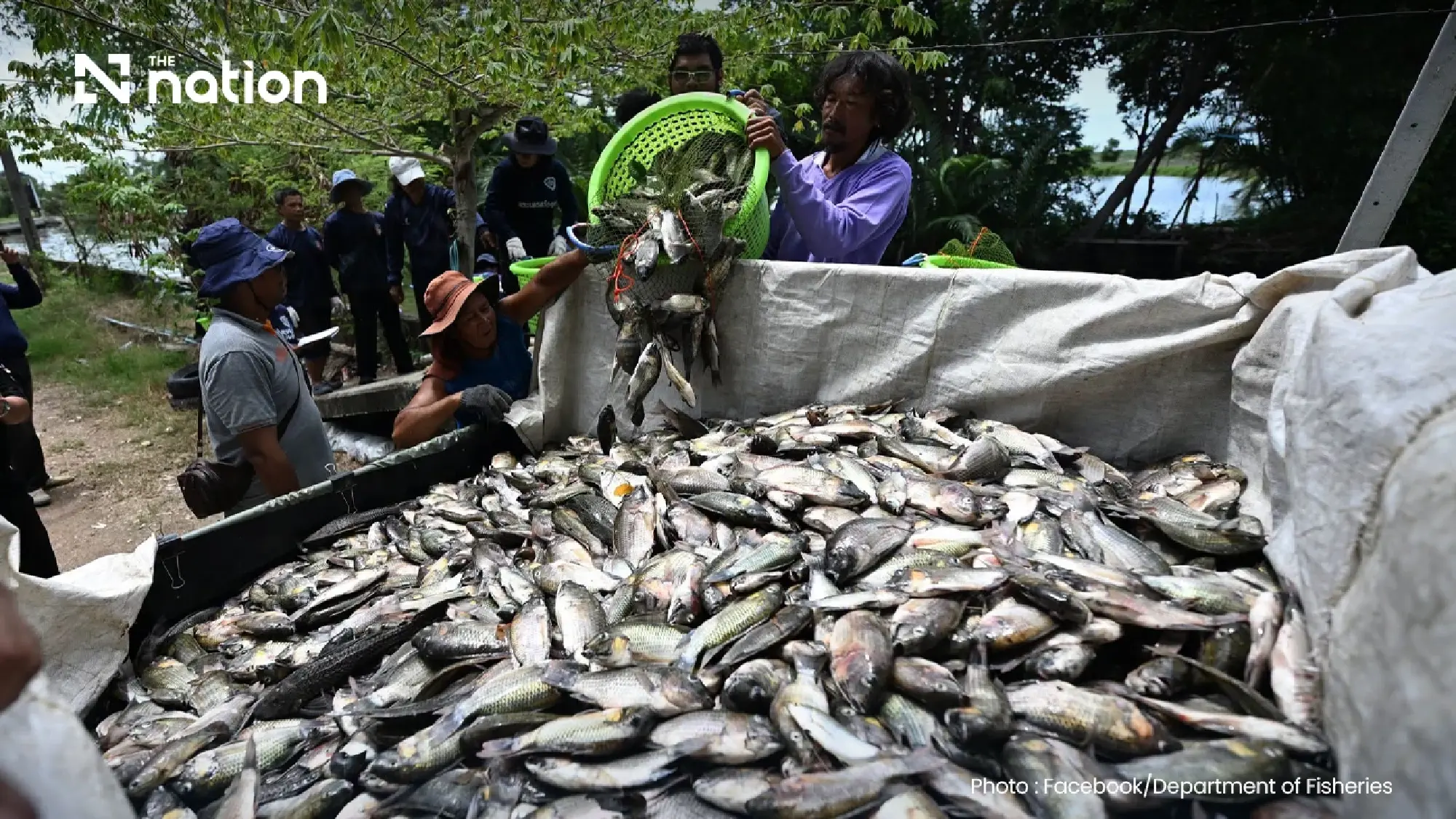 Thailand tracks blackchin tilapia, redclaw crayfish ecosystem risks