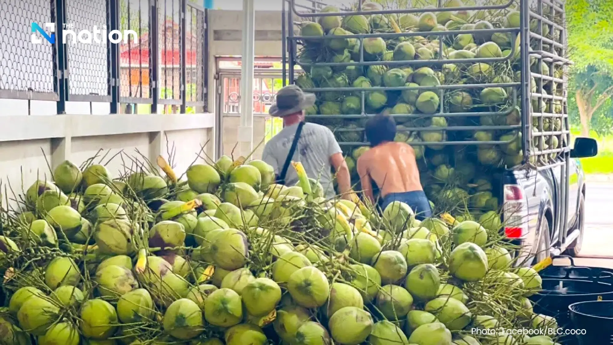 Agencies meet to rescue Thai aromatic coconut industry and crack down on nominees