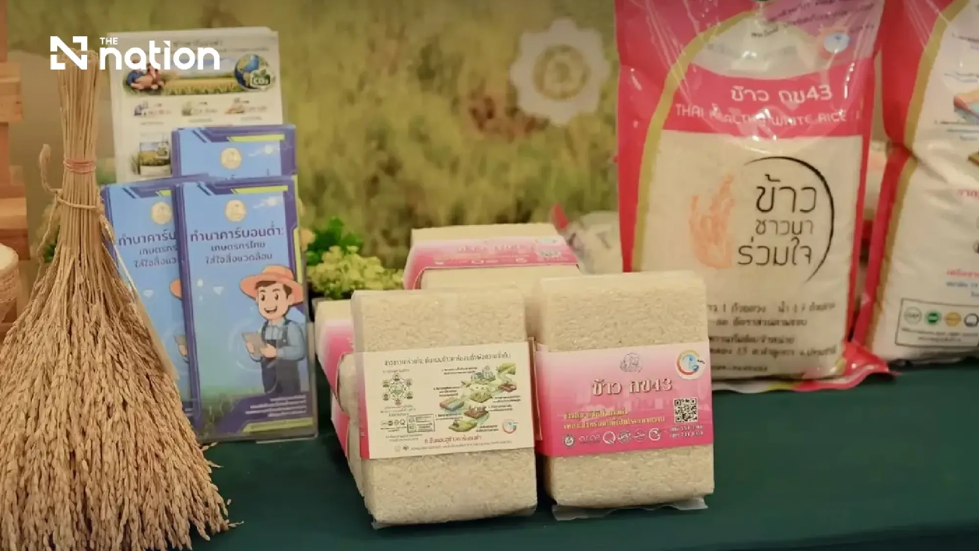 Green Revolution in the Paddy Fields: Central Thailand Launches Low-Carbon Rice Initiative